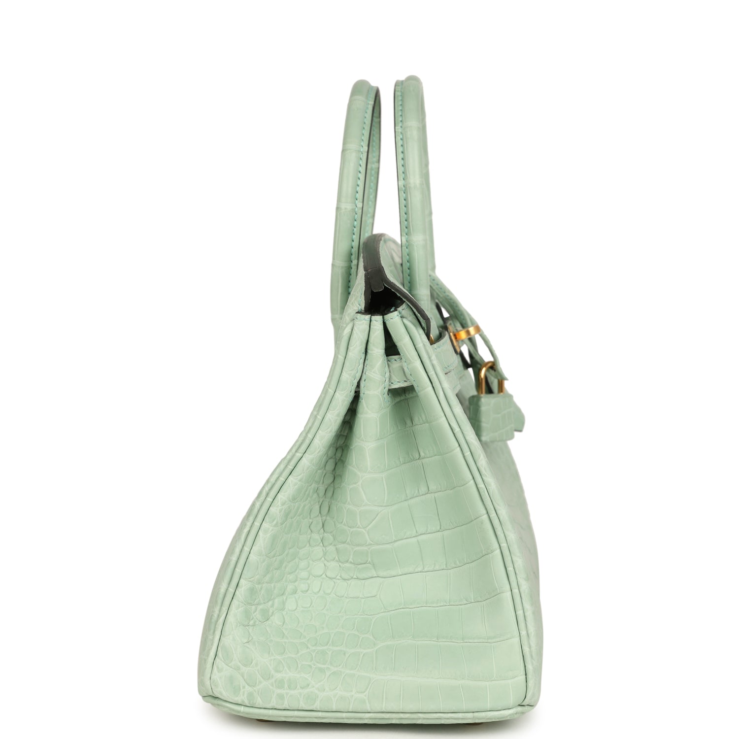 Birkin 25 Vert D'Eau Matte Porosus Crocodile Gold Hardware Bag