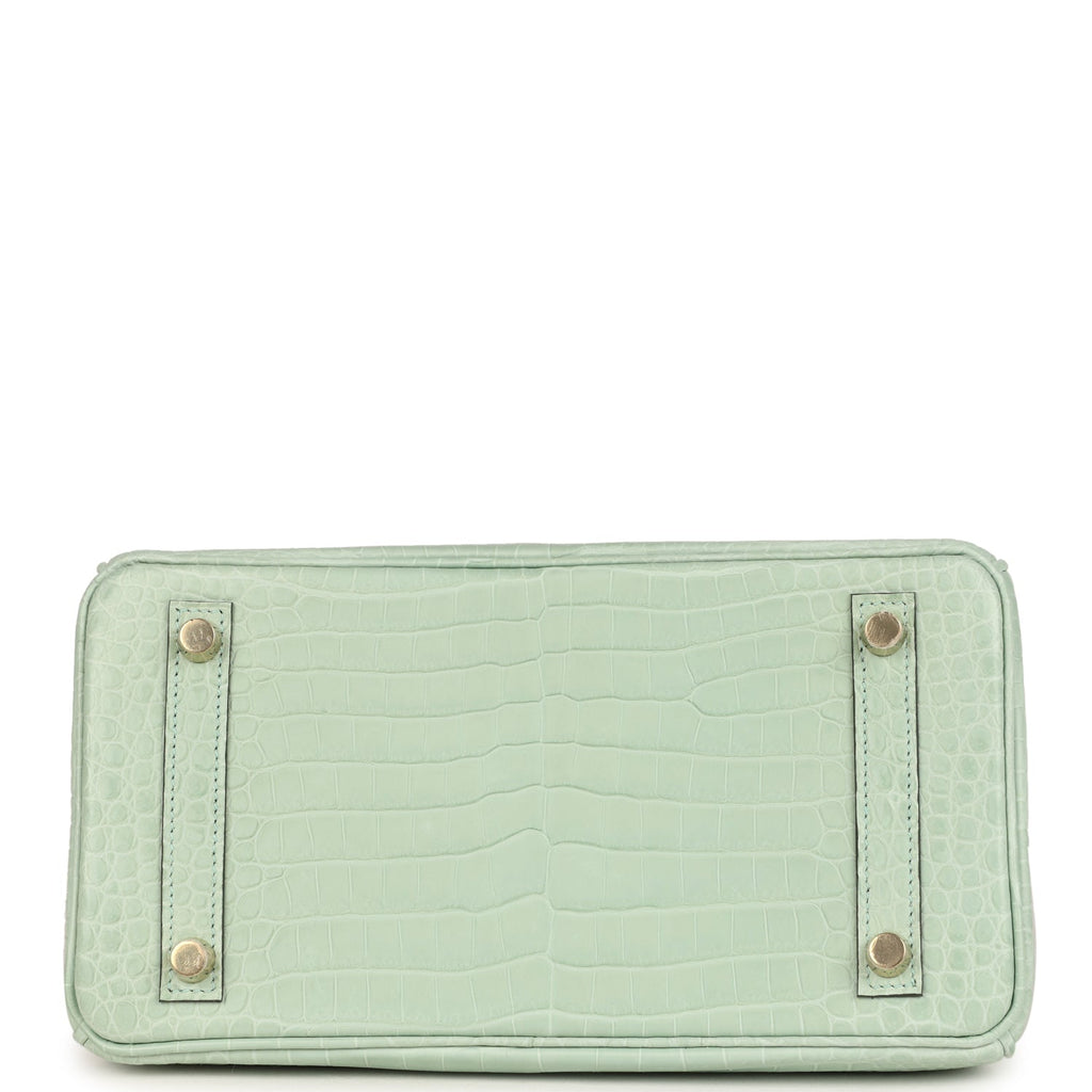 Birkin 25 Vert D'Eau Matte Porosus Crocodile Gold Hardware Bag