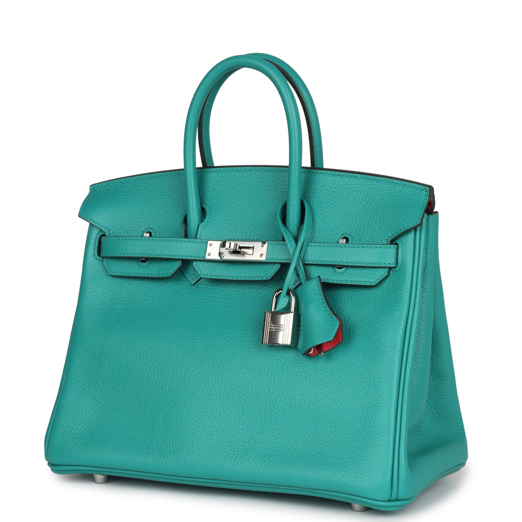 Birkin 25 Vert Verone Verso Novillo Palladium Hardware Bag