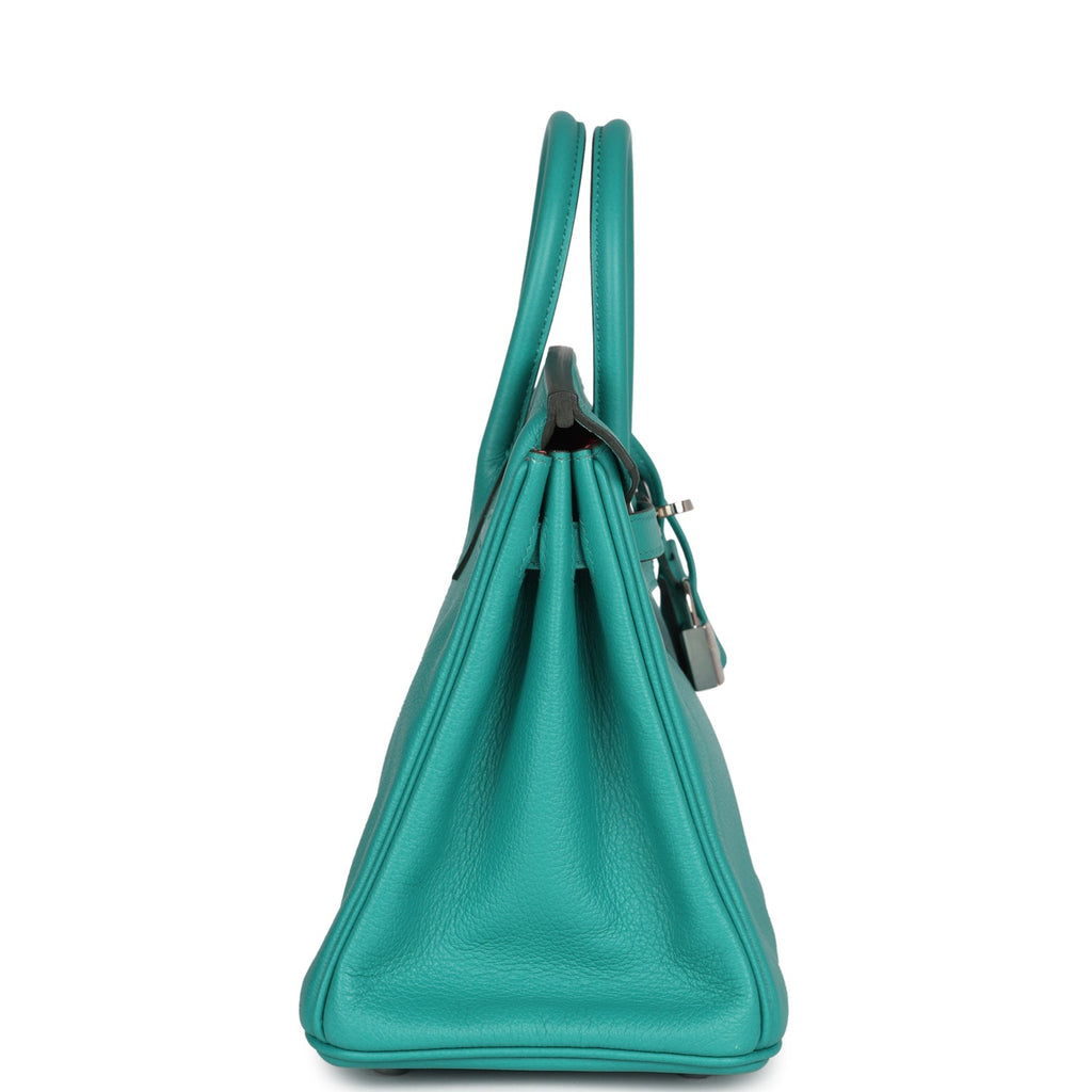 Birkin 25 Vert Verone Verso Novillo Palladium Hardware Bag