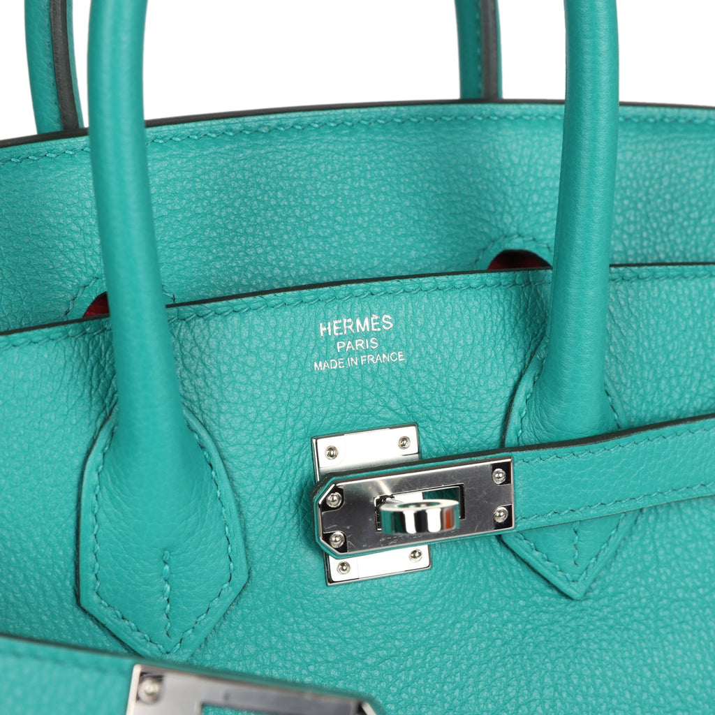Birkin 25 Vert Verone Verso Novillo Palladium Hardware Bag