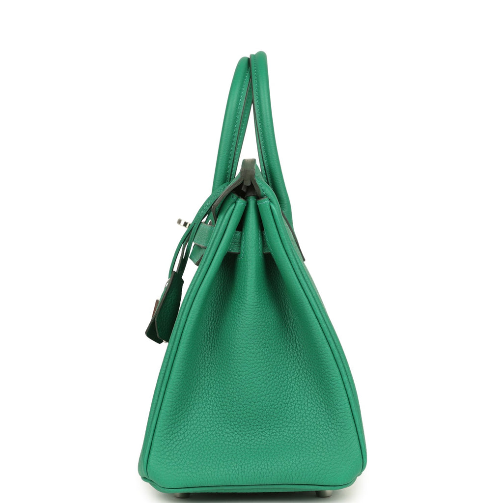 Birkin 25 Vert Vertigo Togo Palladium Hardware Bag
