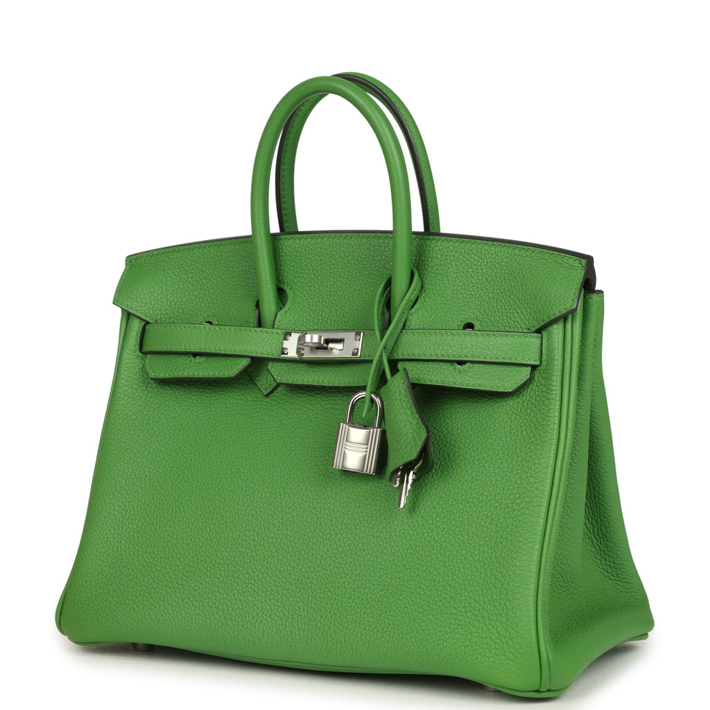 Birkin 25 Vert Yucca Togo Palladium Hardware Bag