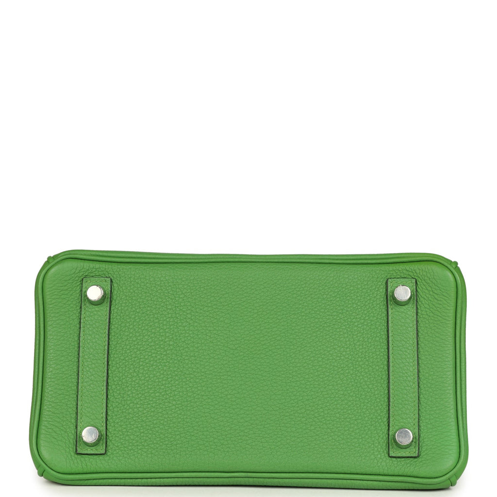 Birkin 25 Vert Yucca Togo Palladium Hardware Bag