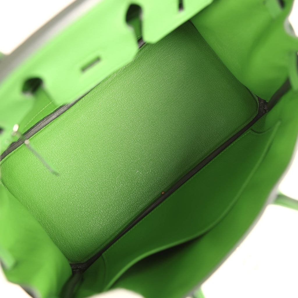Birkin 25 Vert Yucca Togo Palladium Hardware Bag