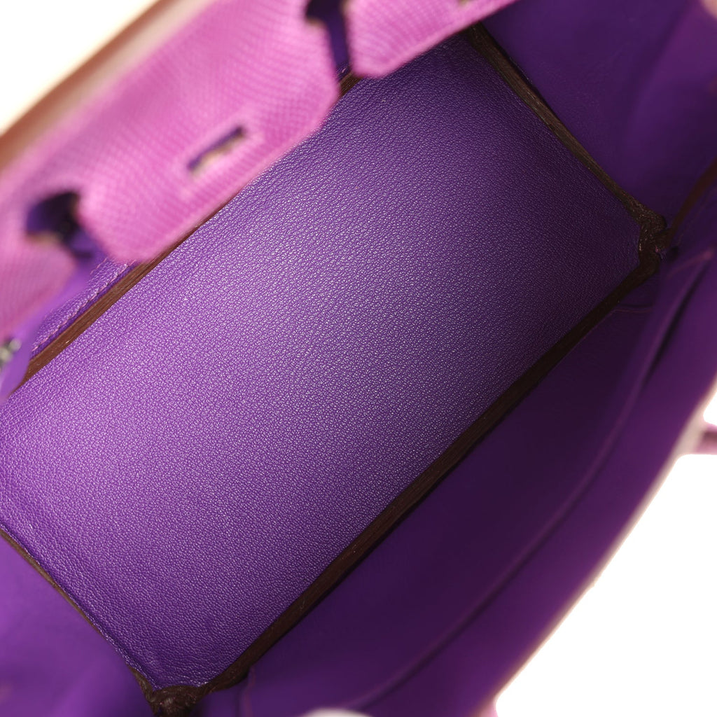 Birkin 25 Violet Varanus Niloticus Lizard Palladium Hardware Bag