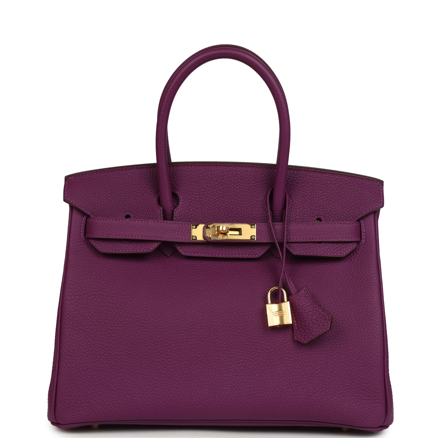 Birkin 30 Anemone Togo Gold Hardware Bag