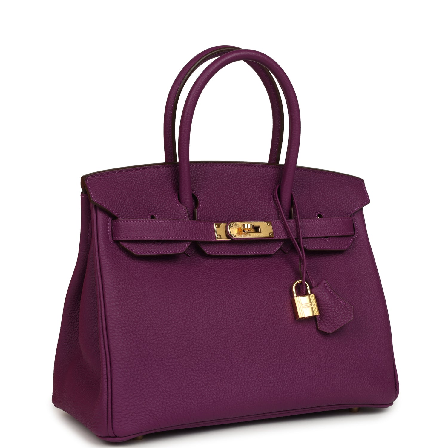 Birkin 30 Anemone Togo Gold Hardware Bag