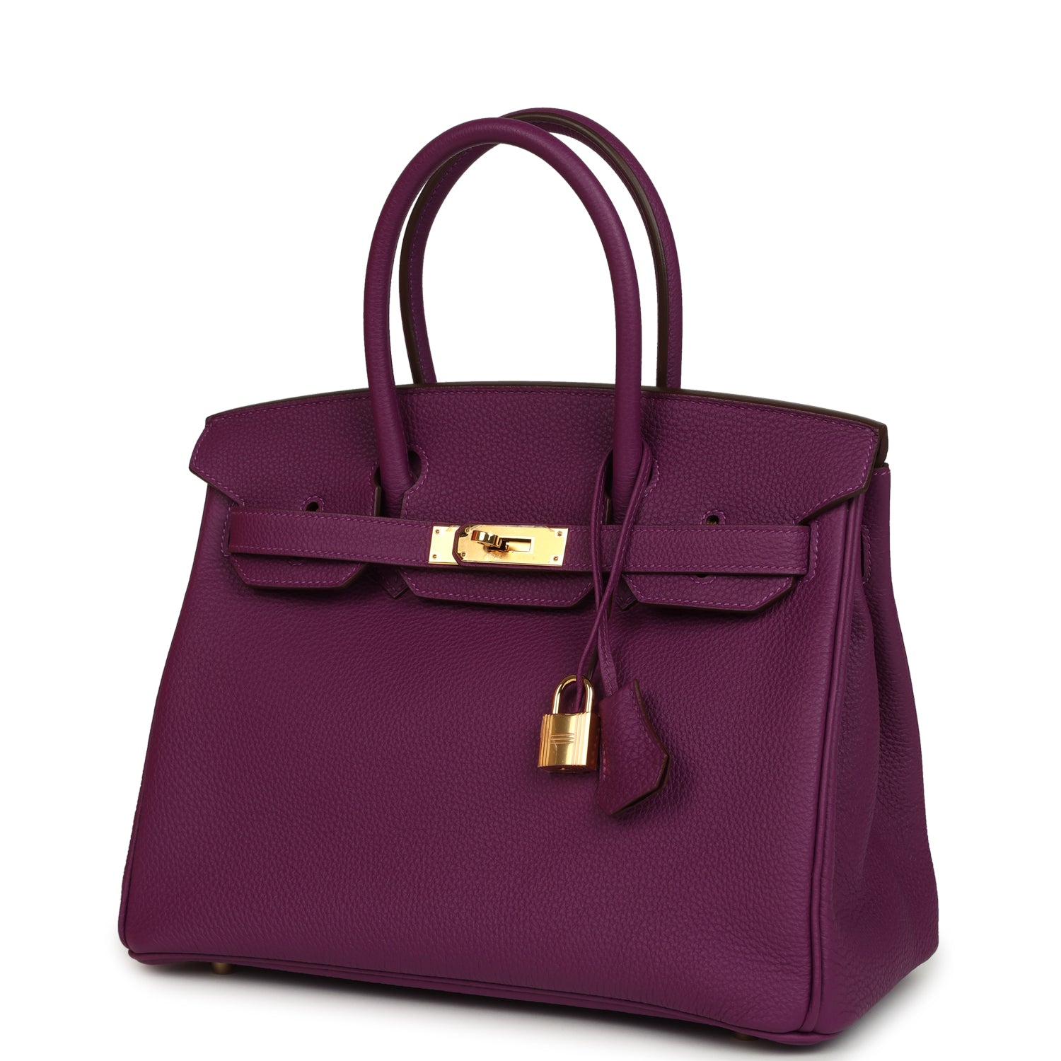 Birkin 30 Anemone Togo Gold Hardware Bag