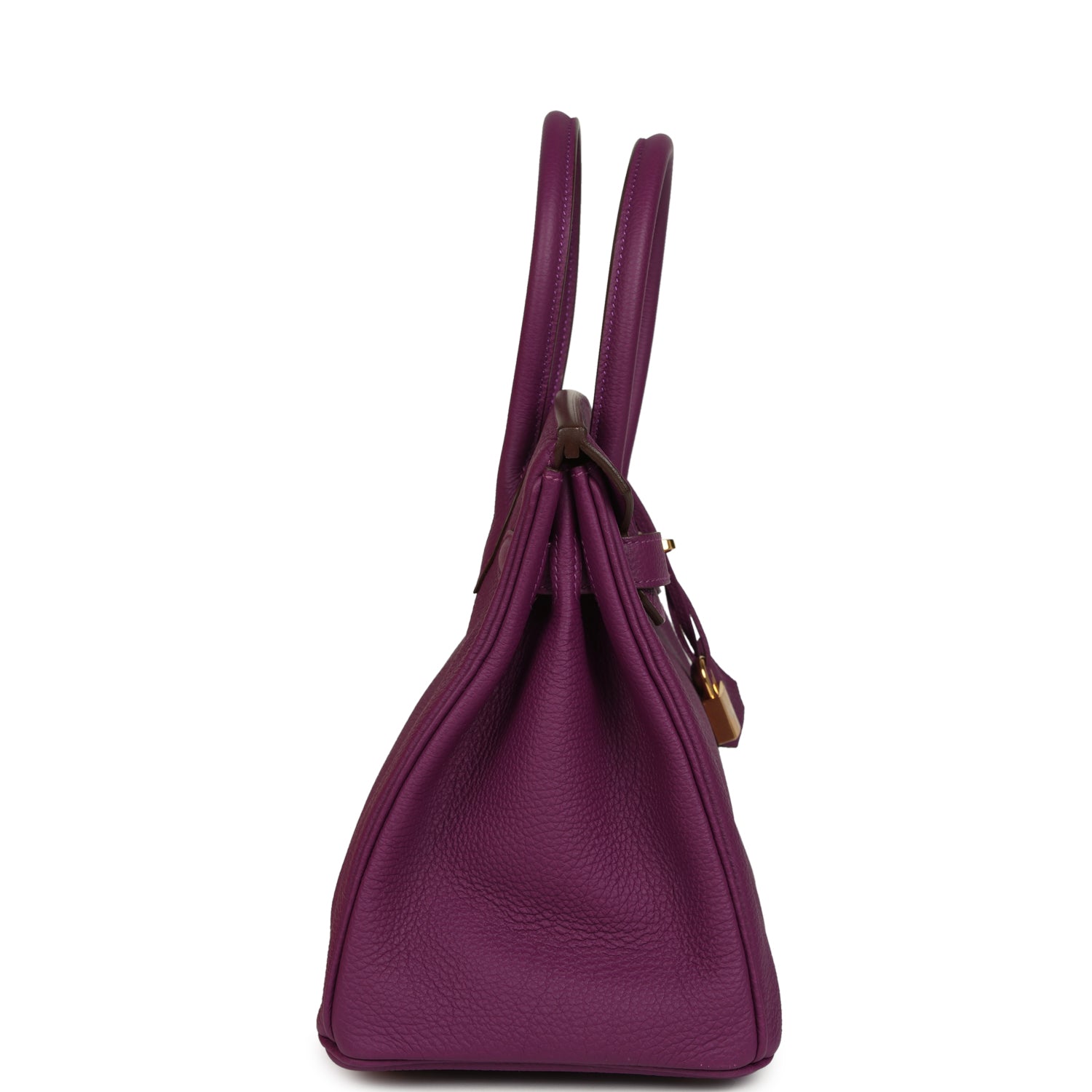 Birkin 30 Anemone Togo Gold Hardware Bag