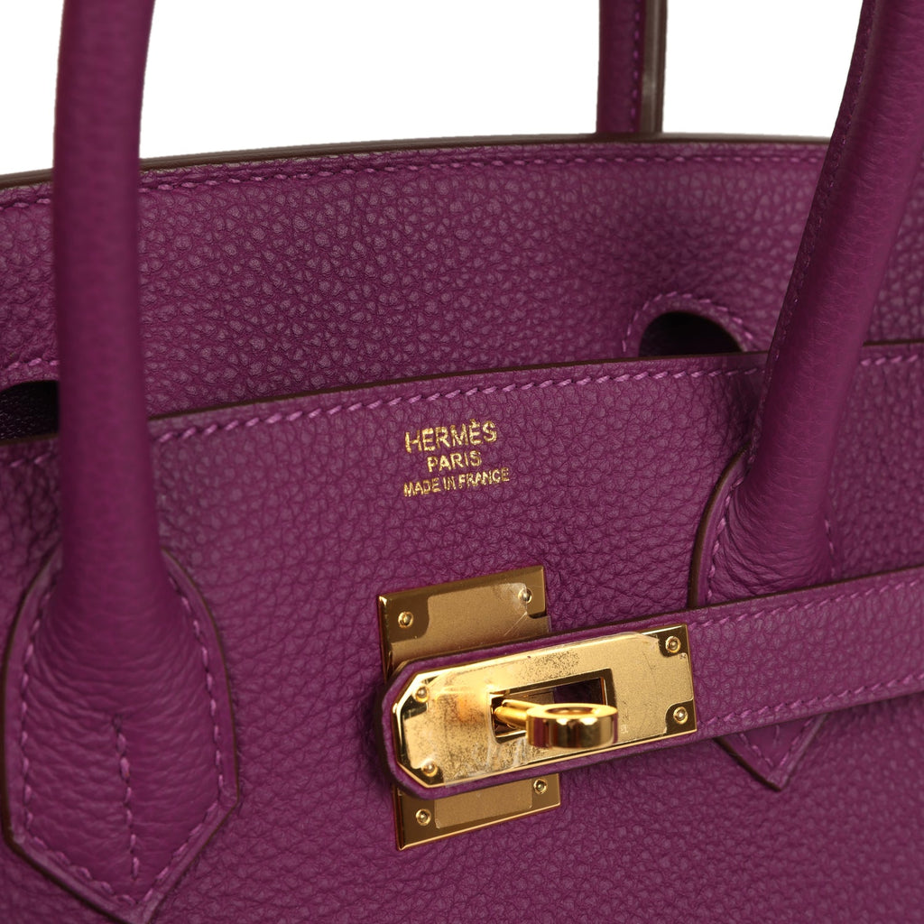 Birkin 30 Anemone Togo Gold Hardware Bag