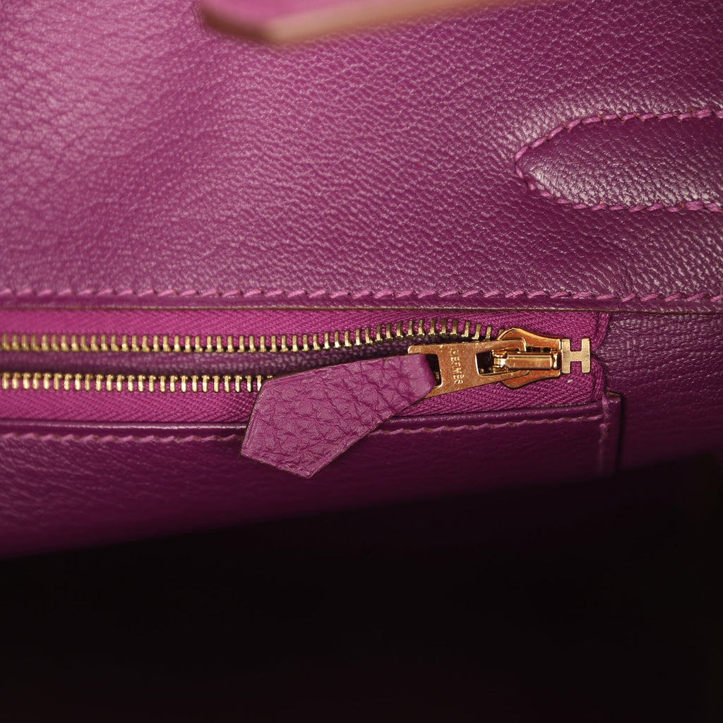 Birkin 30 Anemone Togo Gold Hardware Bag