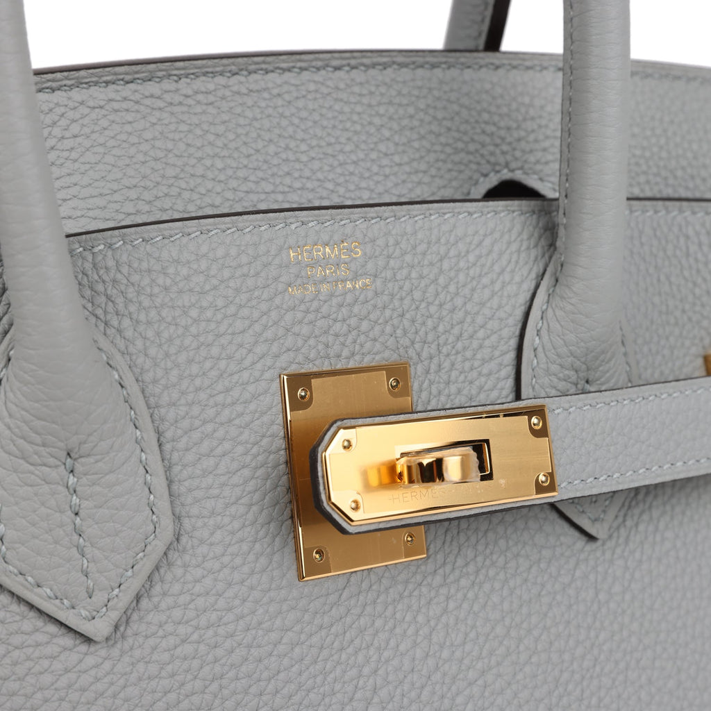 Birkin 30 Bleu Glacier Togo Gold Hardware Bag