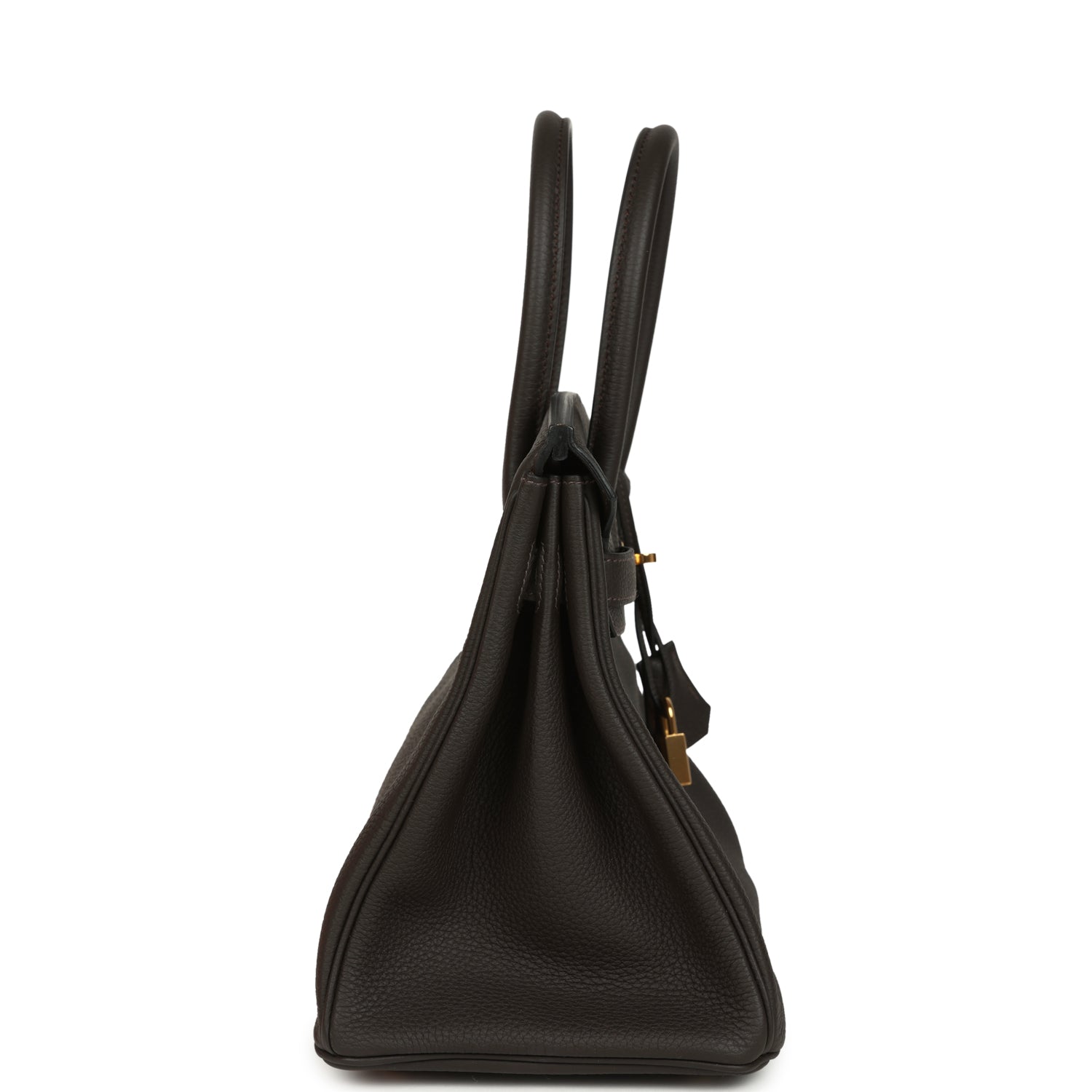 Birkin 30 Macassar Togo Gold Hardware Bag