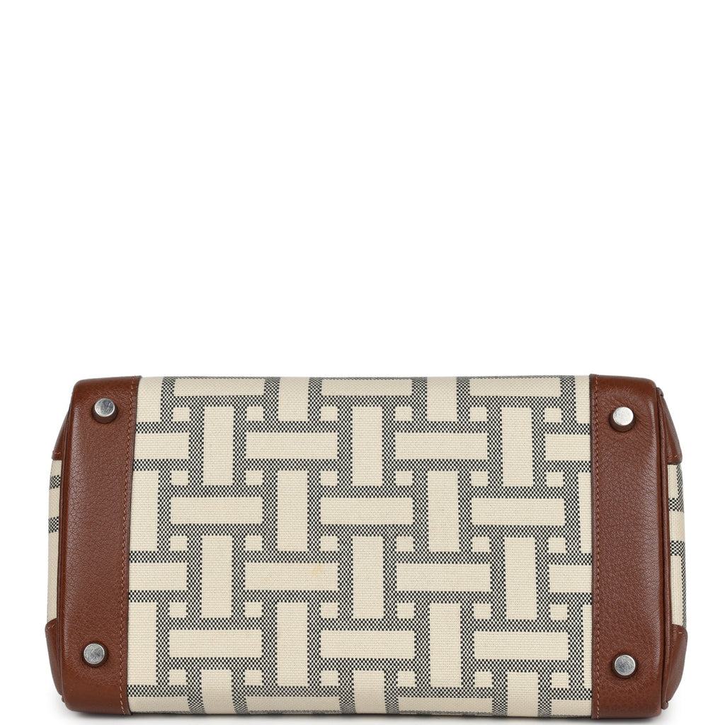 Birkin 30 Marron D'Inde Buffalo and Mosaique Canvas Palladium Hardware Bag