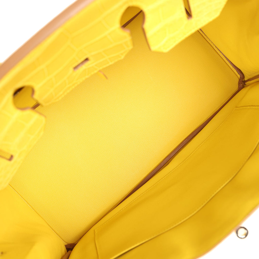Birkin 35 Mimosa Matte Alligator Palladium Hardware