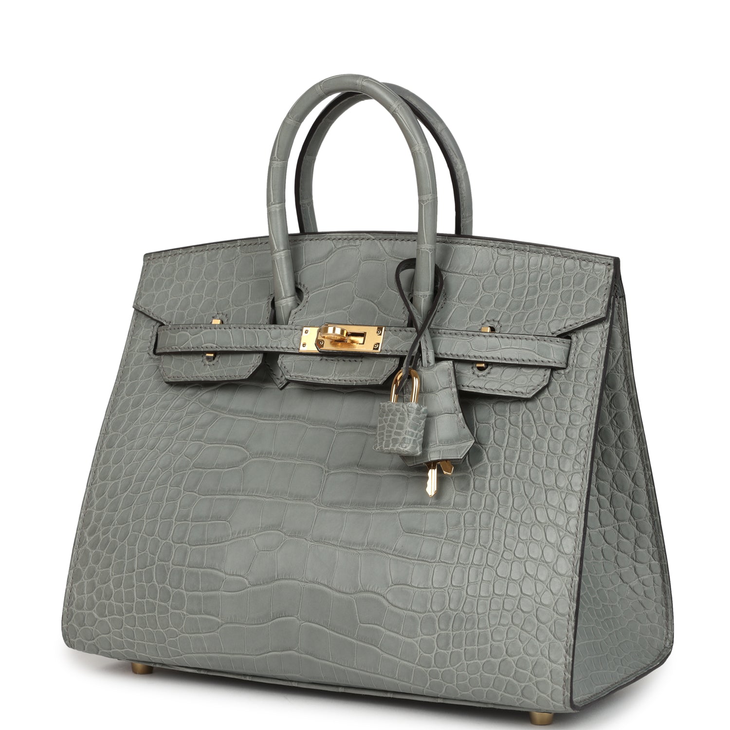 Birkin Sellier 25 Gris Ciment Matte Alligator Gold Hardware Bag