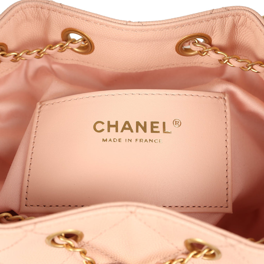 chanel-small-25-hobo-bag-light-pink-caviar-antique-gold-metal-11