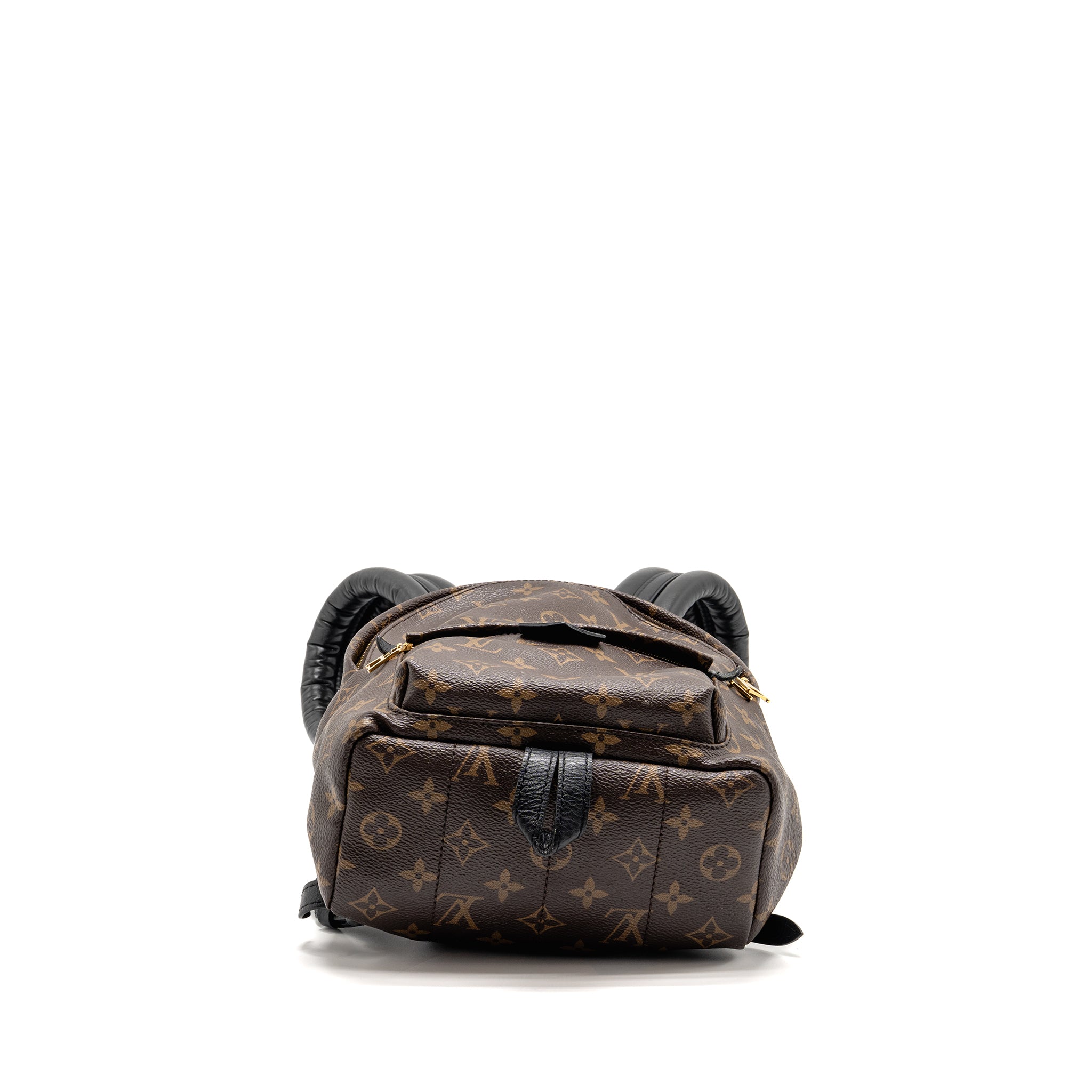 louis-vuitton-palm-spring-pm-backpack-monogram-canvas-ghw-4