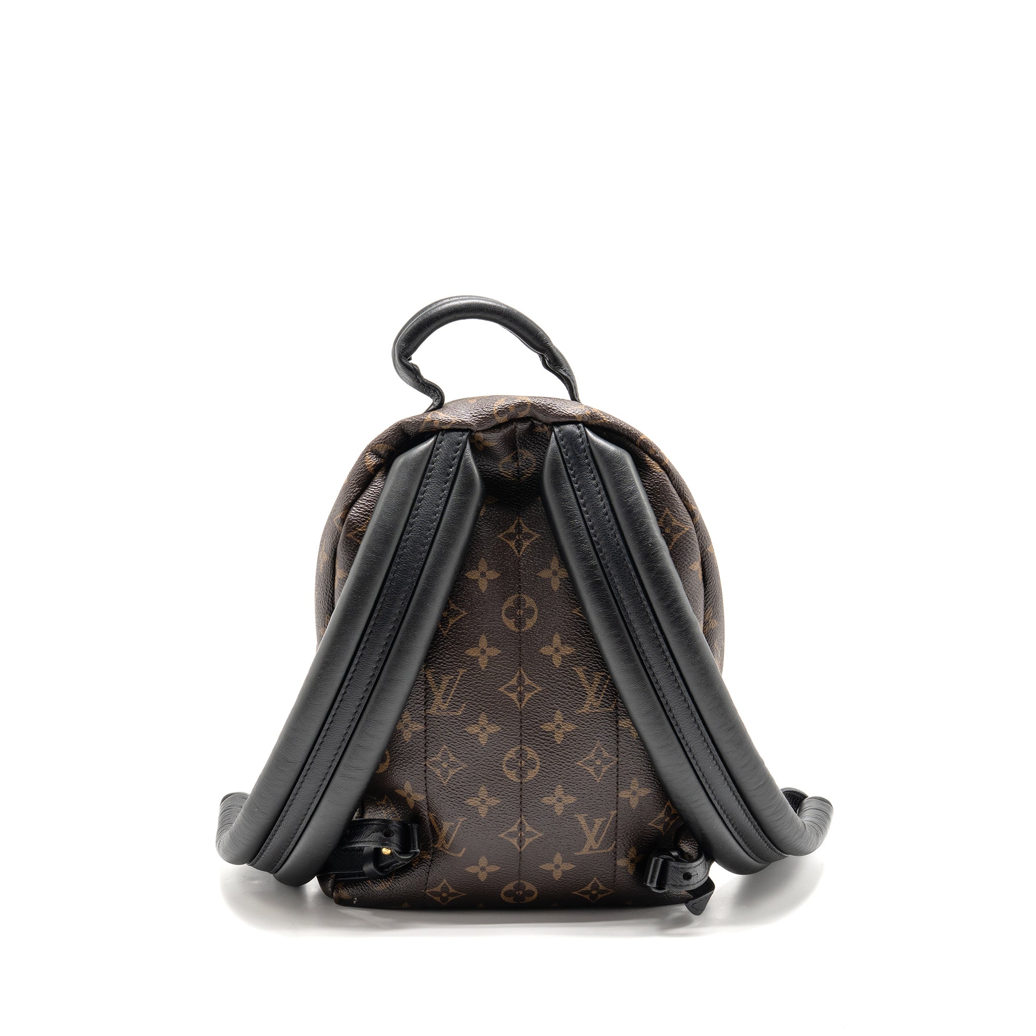 louis-vuitton-palm-spring-pm-backpack-monogram-canvas-ghw-4