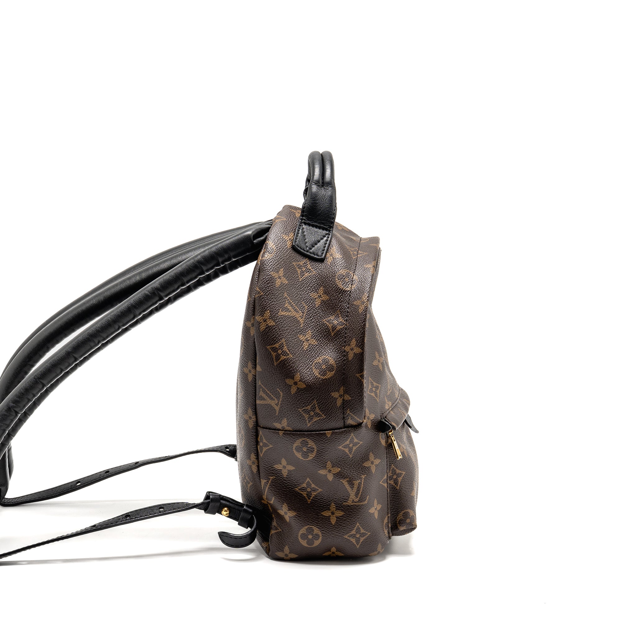 louis-vuitton-palm-spring-pm-backpack-monogram-canvas-ghw-4