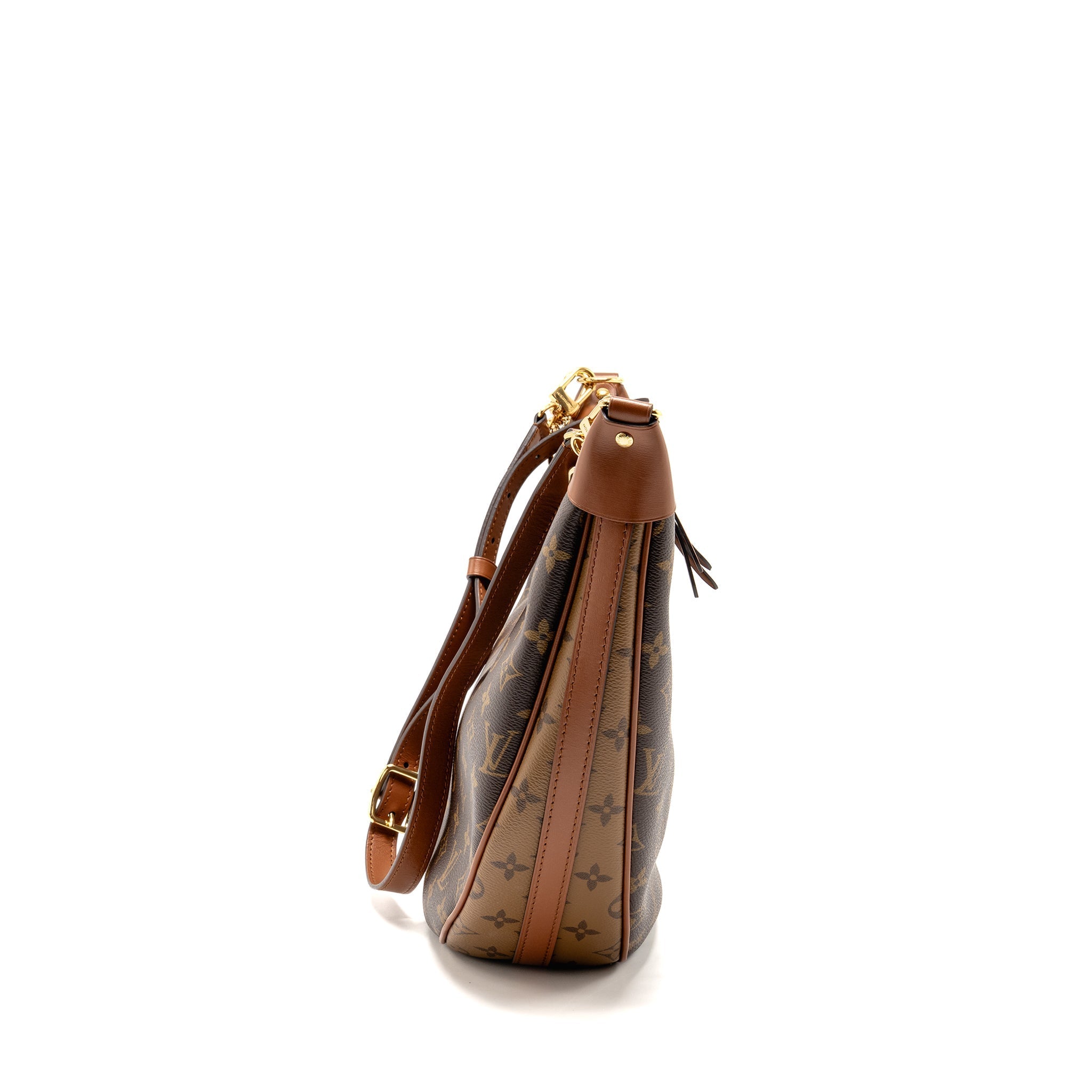 louis-vuitton-loop-hobo-bag-monogram-canvas-ghw-1