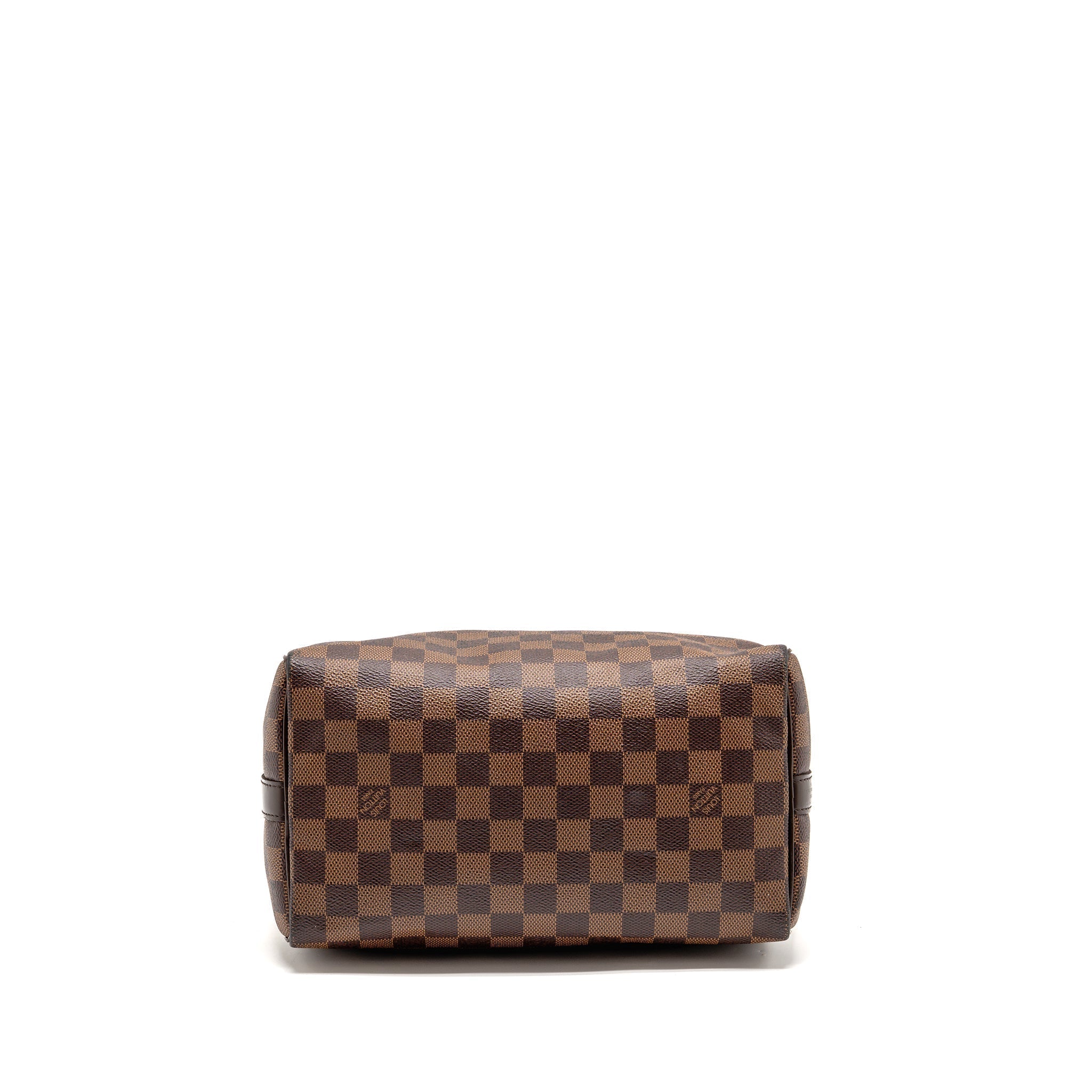 louis-vuitton-speedy-25-damier-ebene-ghw-5