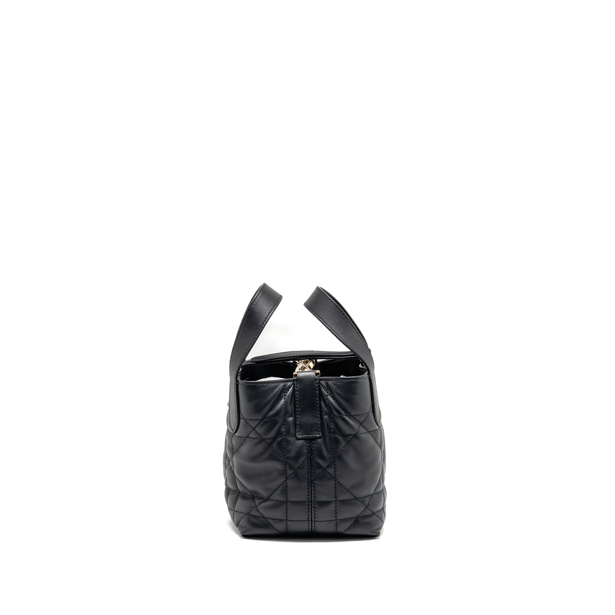dior-toujours-vertical-nano-tote-bag-calfskin-black-lghw-copy
