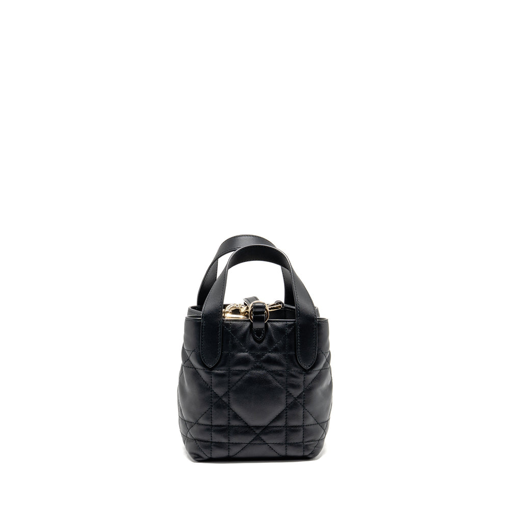 dior-toujours-vertical-nano-tote-bag-calfskin-black-lghw-copy