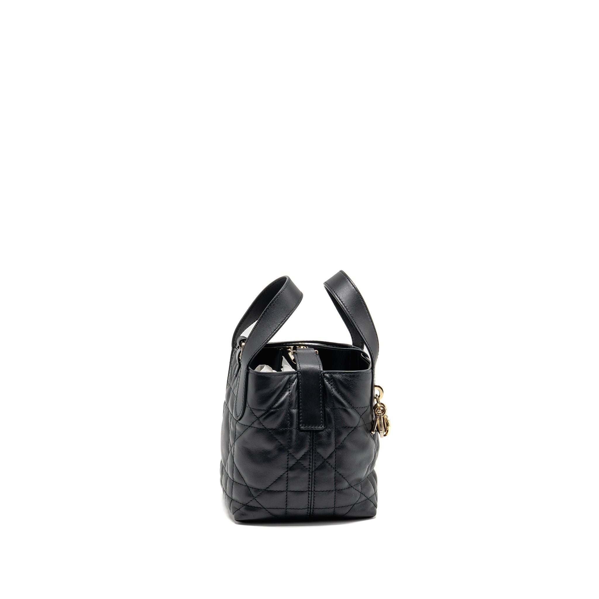 dior-toujours-vertical-nano-tote-bag-calfskin-black-lghw-copy