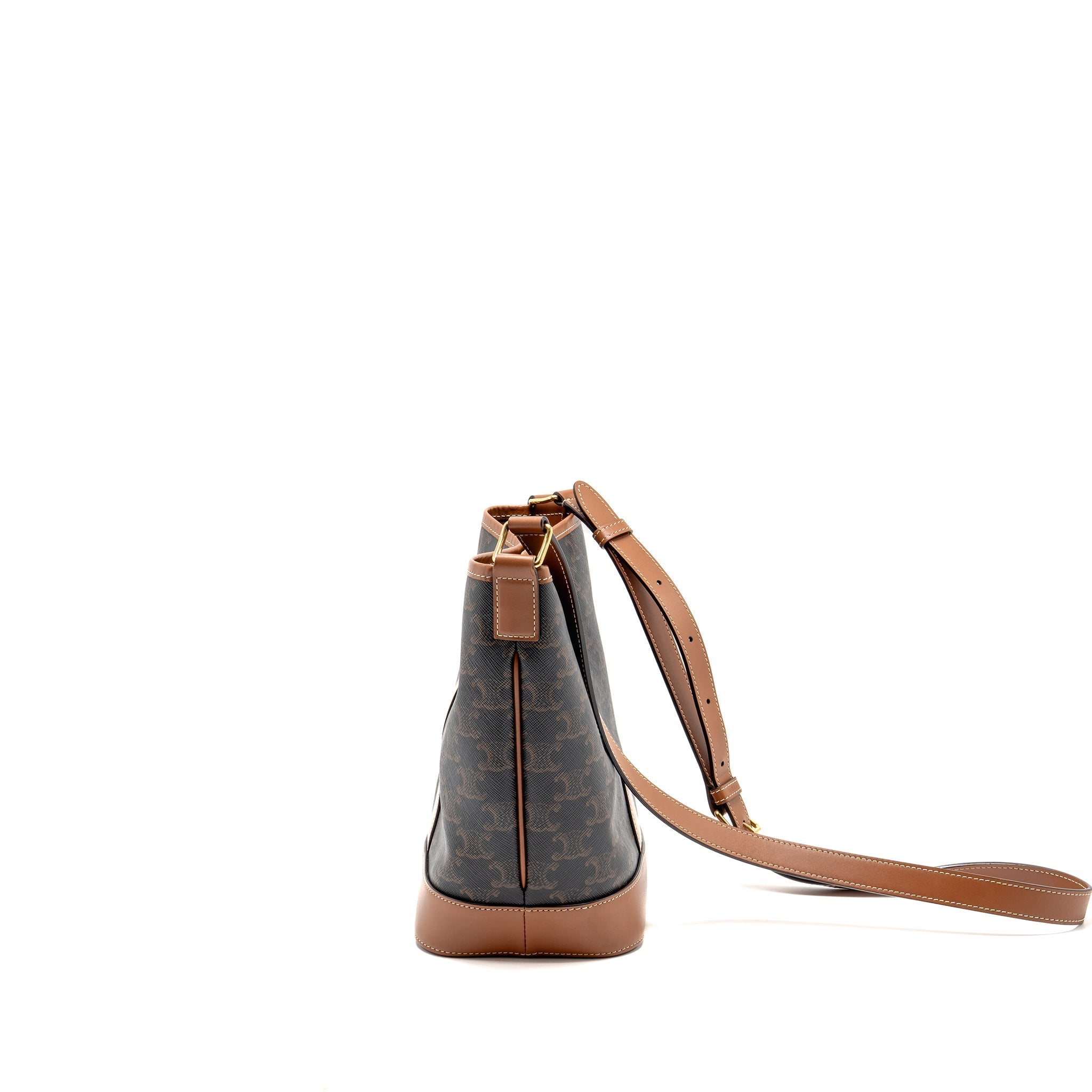 celine-small-bucket-bag-triomphe-canvas-leather-ghw-1