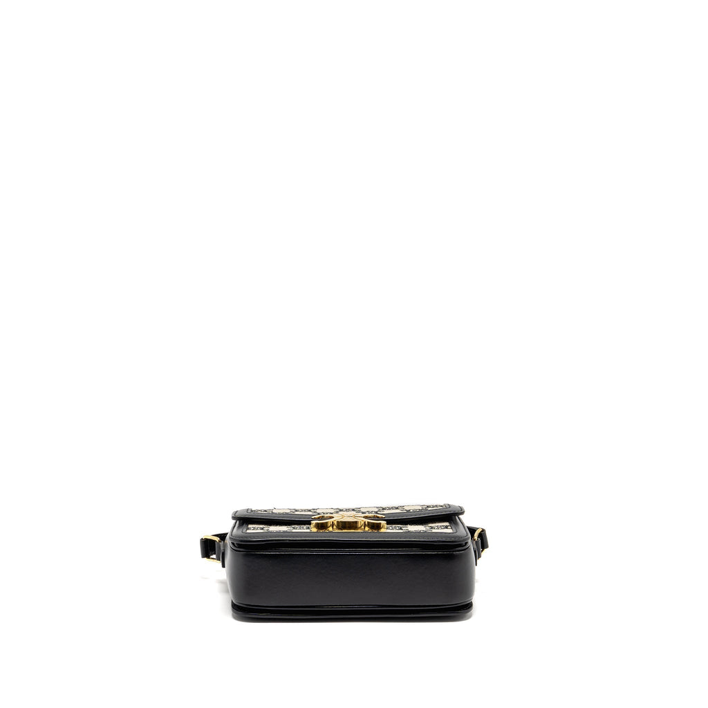 celine-teen-triomphe-bag-triomphe-canvas-calfskin-black-white-ghw