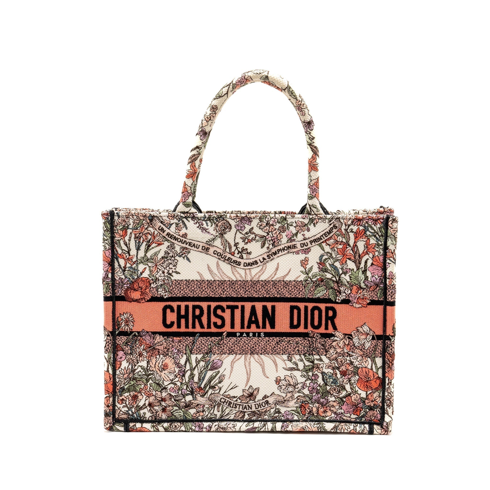 dior-medium-book-tote-limited-edition-canvas-multicolour-copy