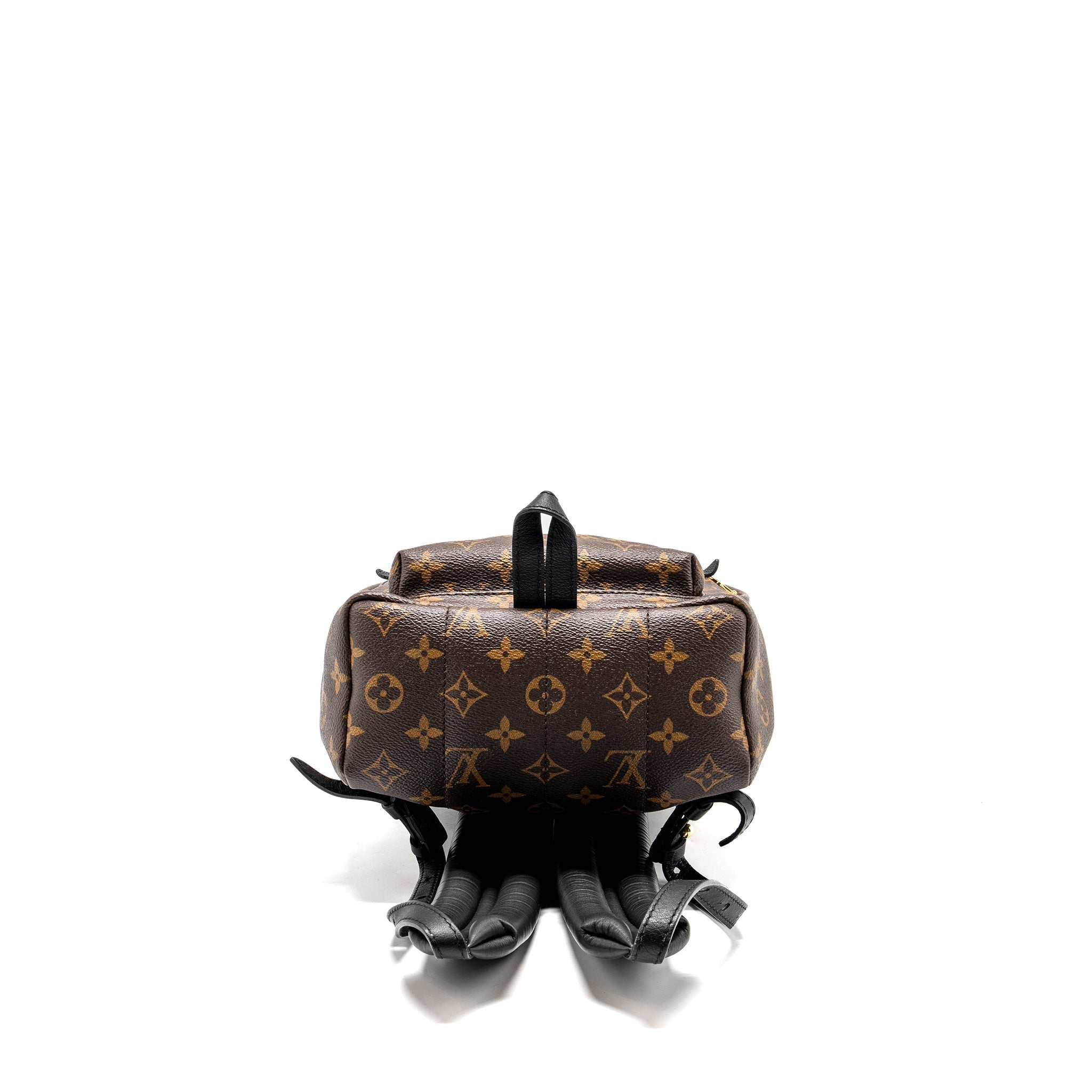 louis-vuitton-palm-spring-pm-backpack-monogram-canvas-ghw-copy