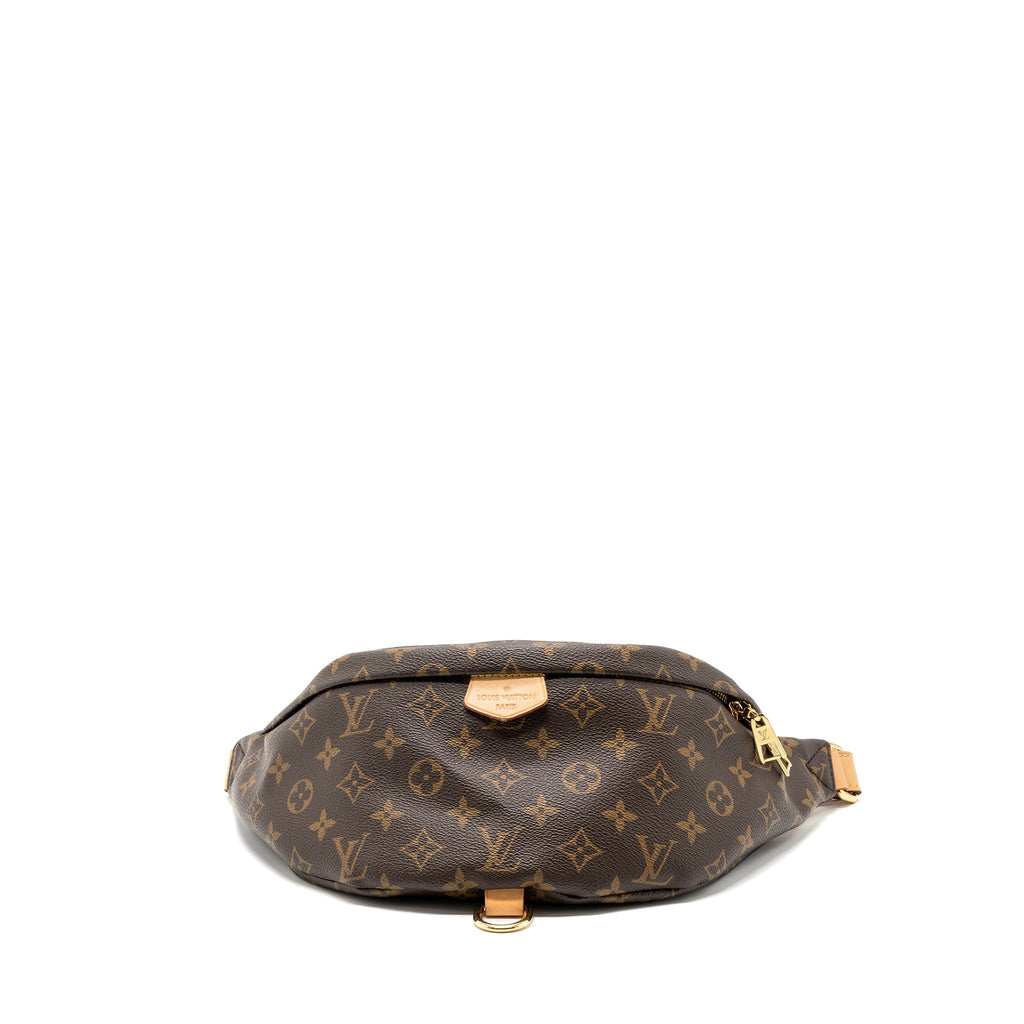 louis-vuitton-bumbag-monogram-canvas-ghw-2