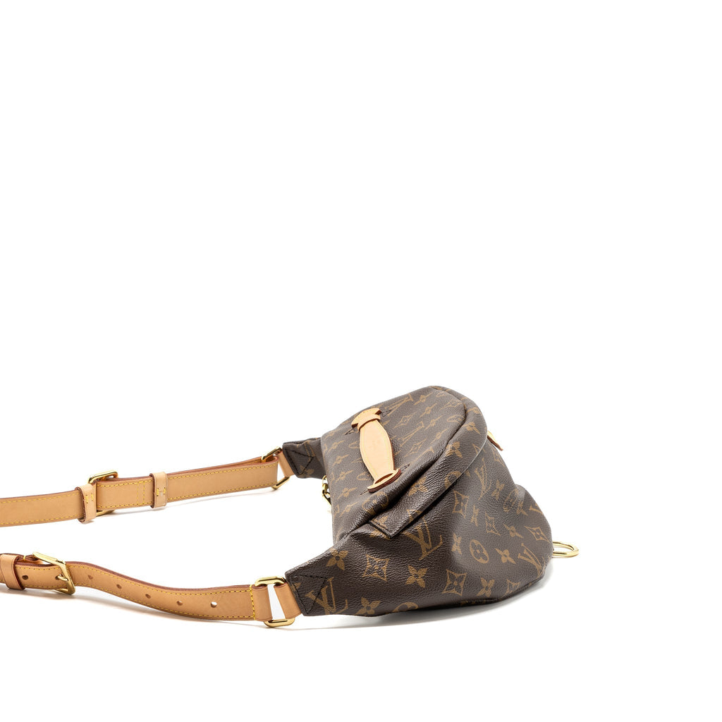 louis-vuitton-bumbag-monogram-canvas-ghw-2