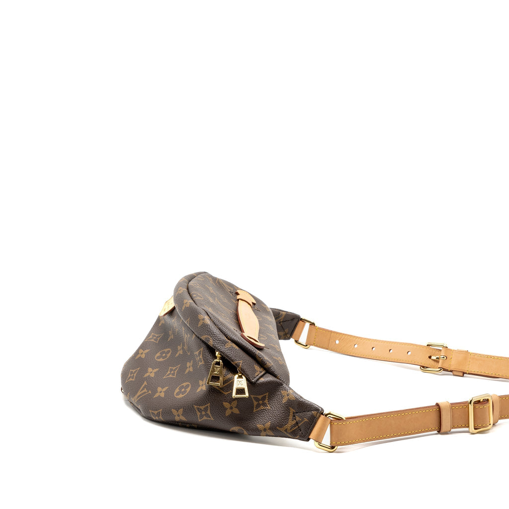 louis-vuitton-bumbag-monogram-canvas-ghw-2