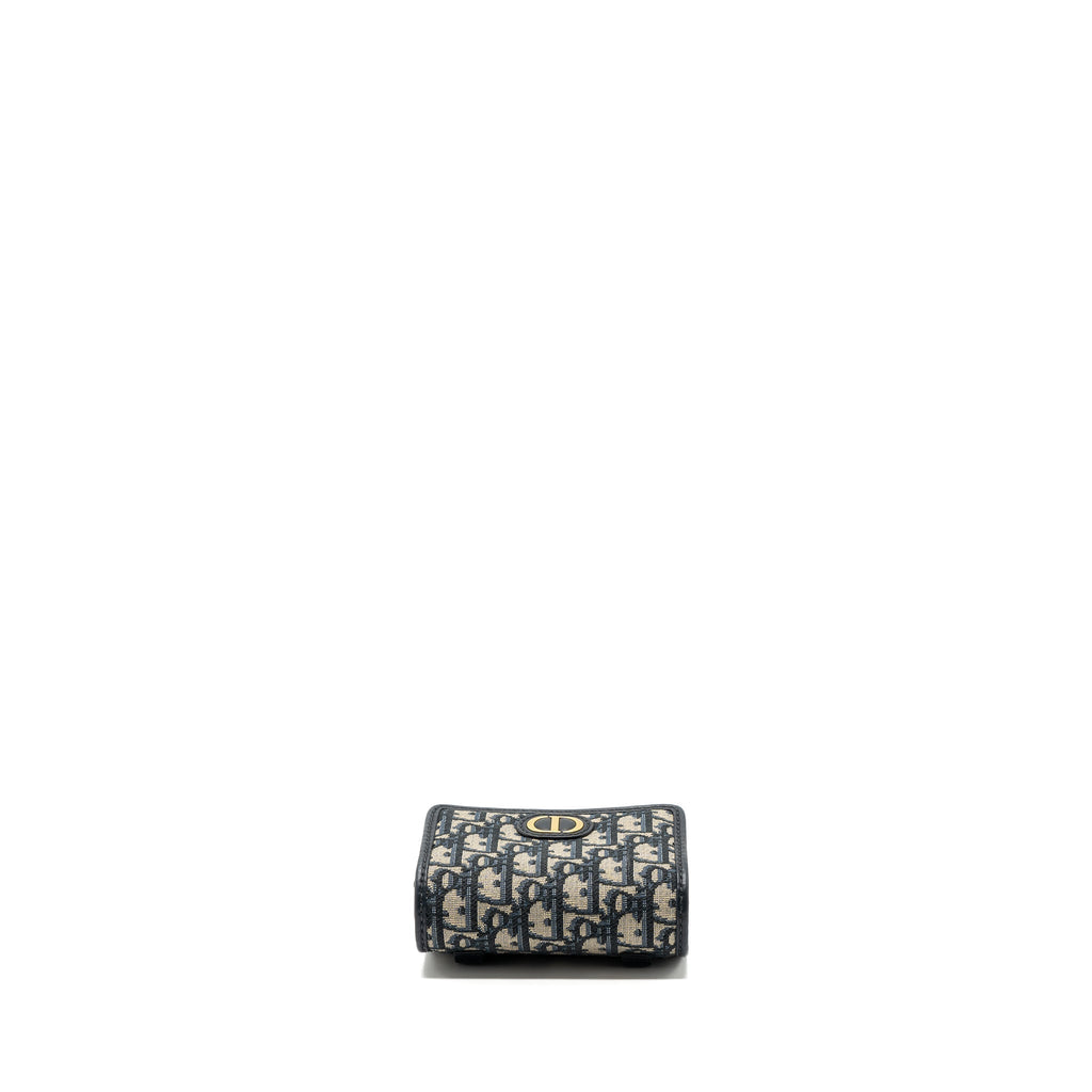 dior-30-montaigne-pouch-with-chain-canvas-blue-oblique-ghw