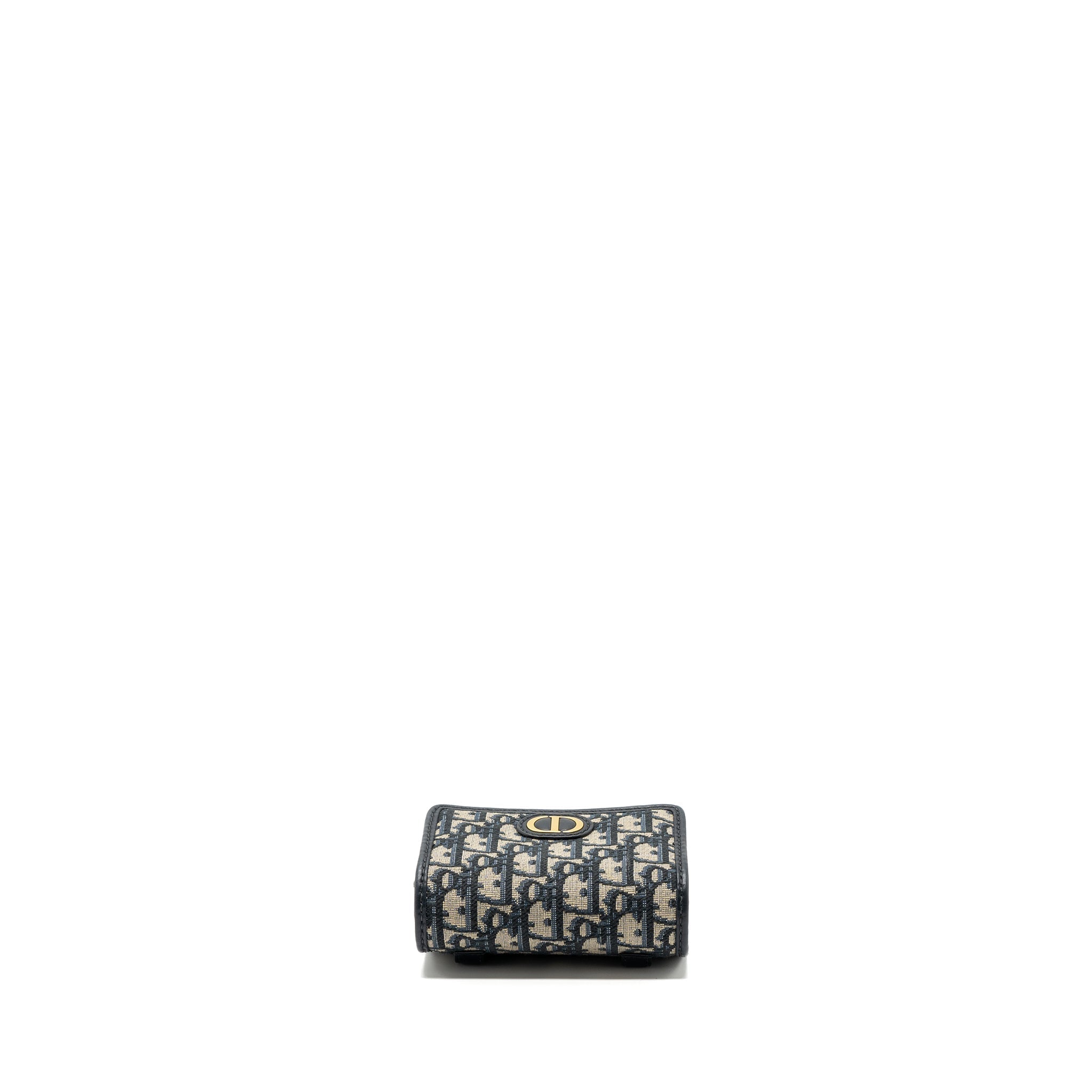 dior-30-montaigne-pouch-with-chain-canvas-blue-oblique-ghw
