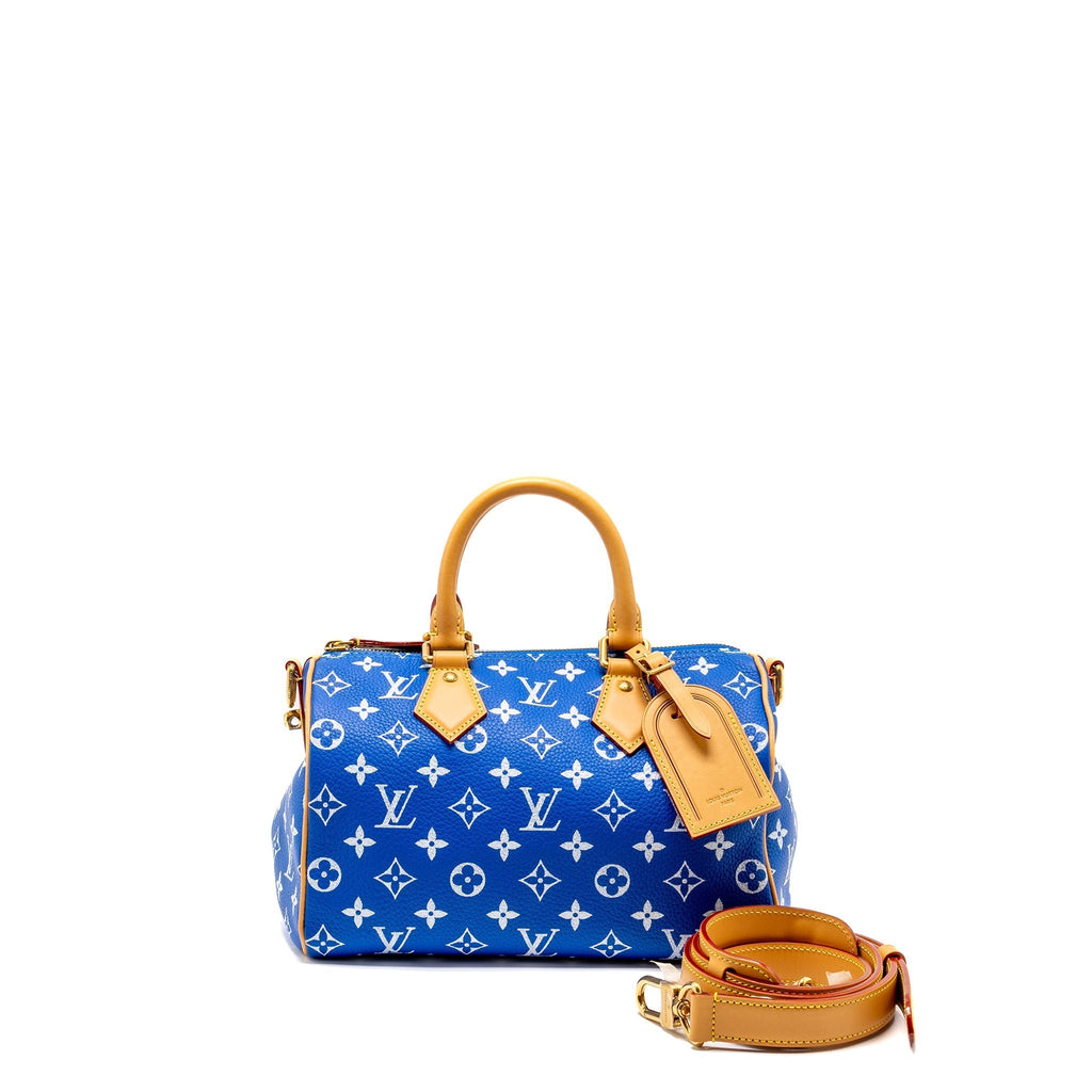 louis-vuitton-speedy-25-blue