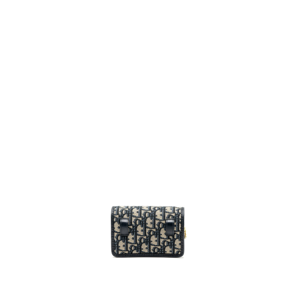 dior-30-montaigne-pouch-with-chain-canvas-blue-oblique-ghw