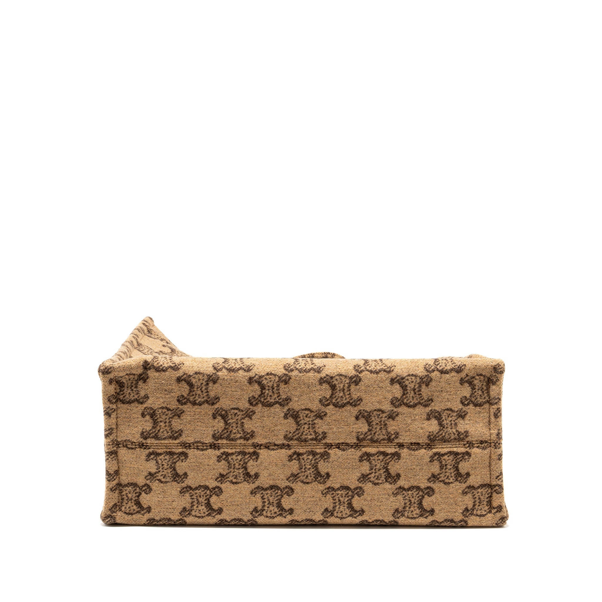 celine-big-canvas-tote-bag