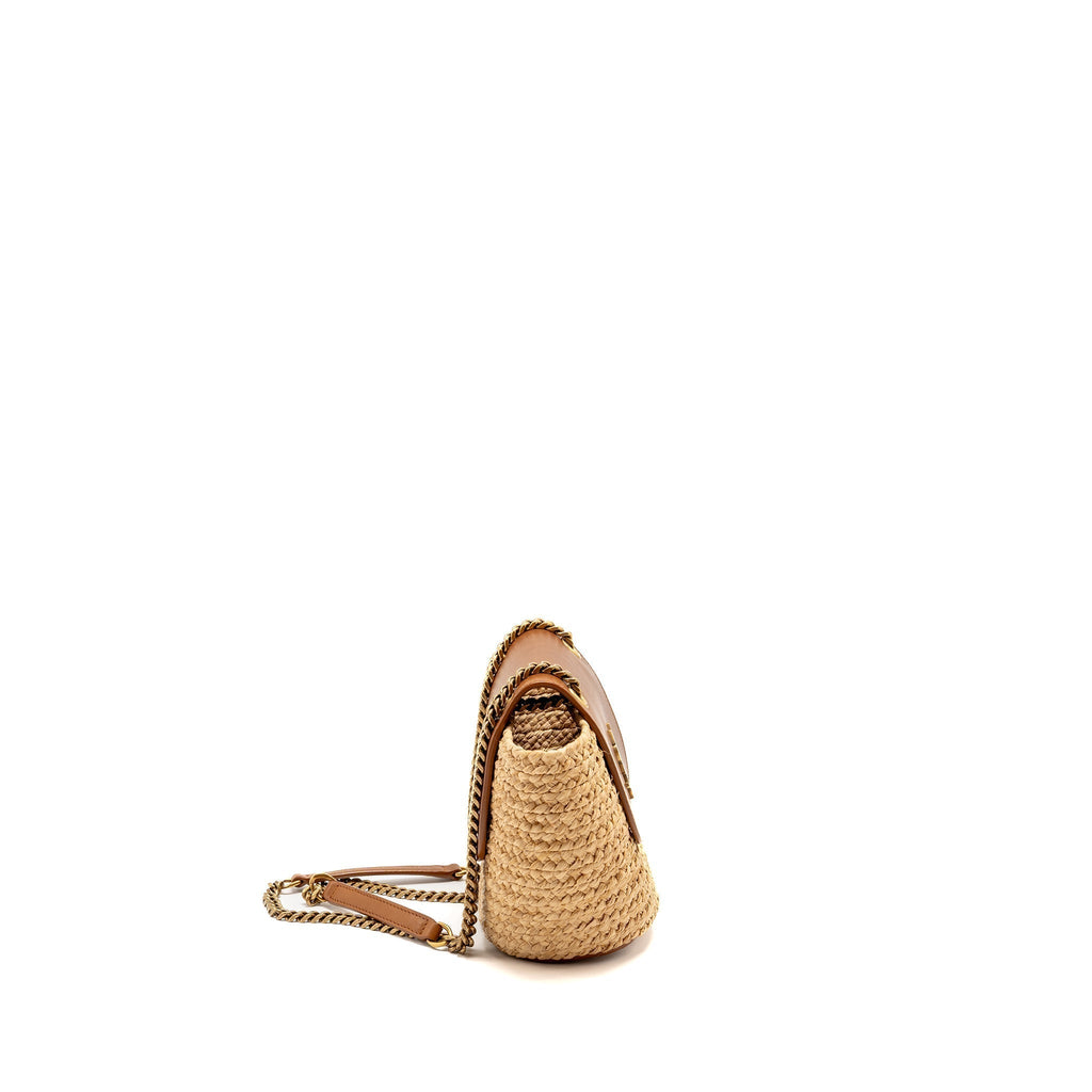 saint-laurent-bag-1
