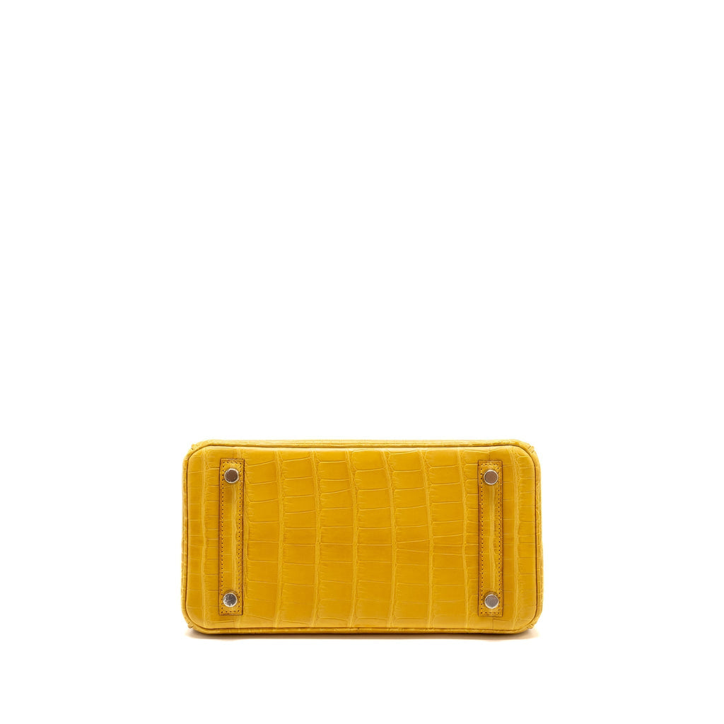 hermes-birkin-1