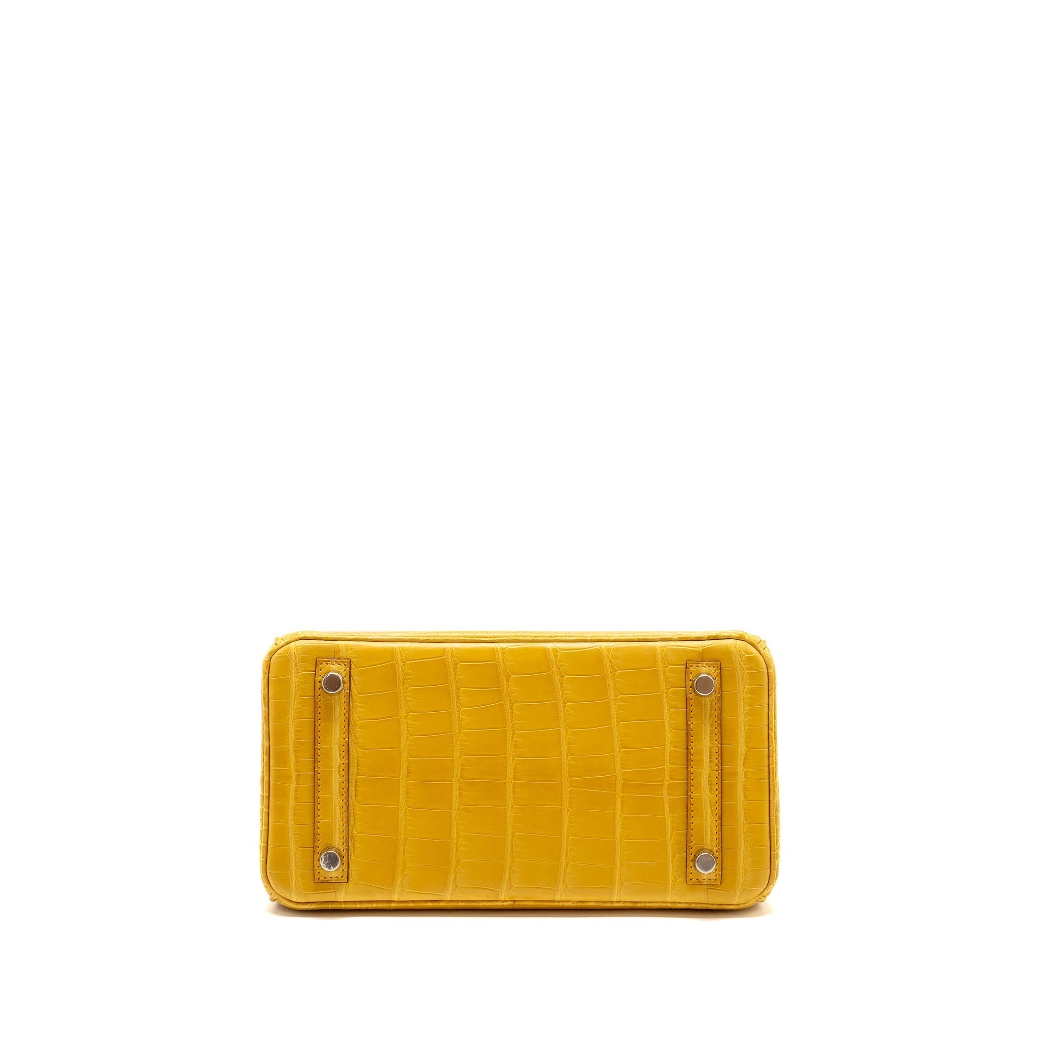 hermes-birkin-1