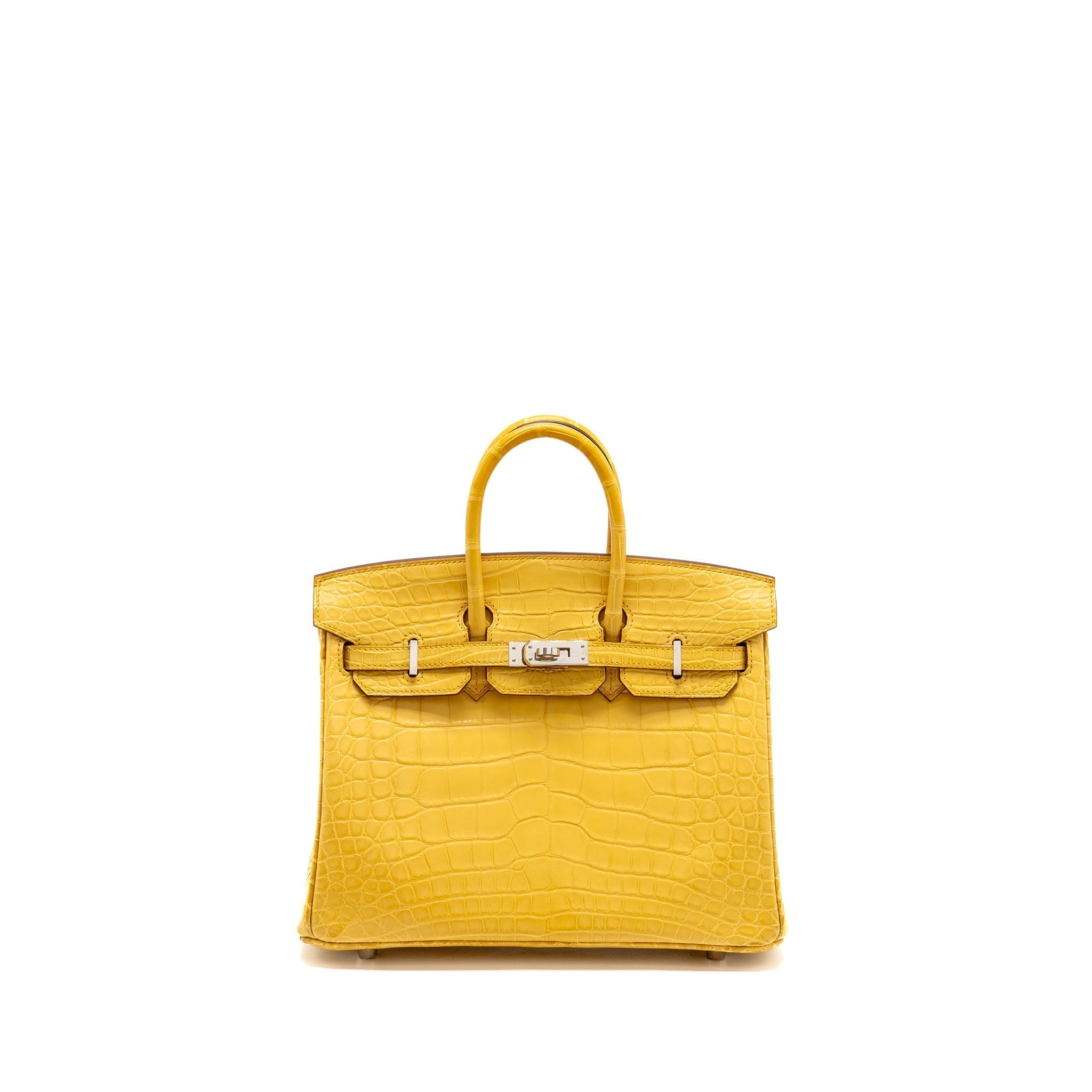 hermes-birkin-1