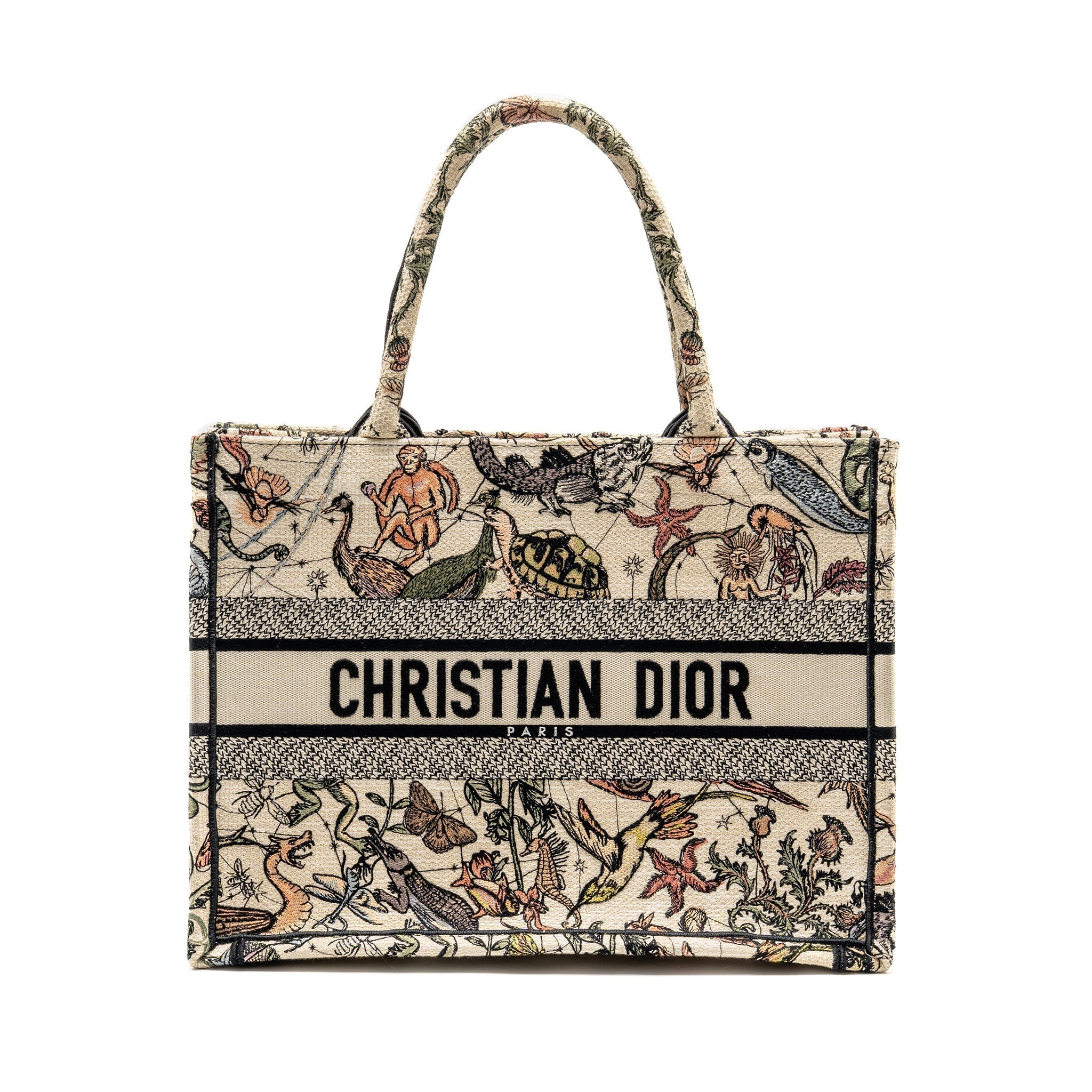 dior-medium-book-tote-embroidery-canvas-multicolour
