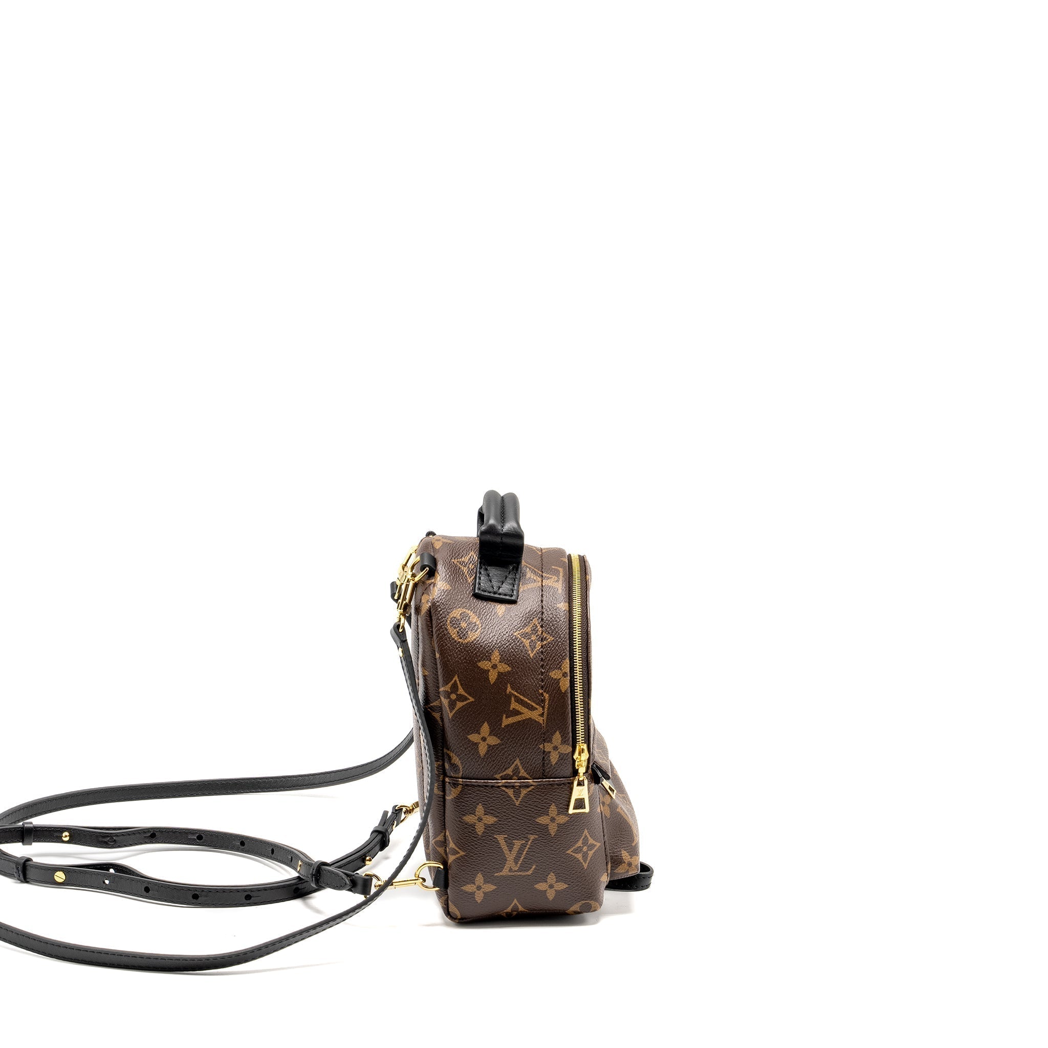 louis-vuitton-mini-palm-spring-backpack-monogram-canvas-ghw-10