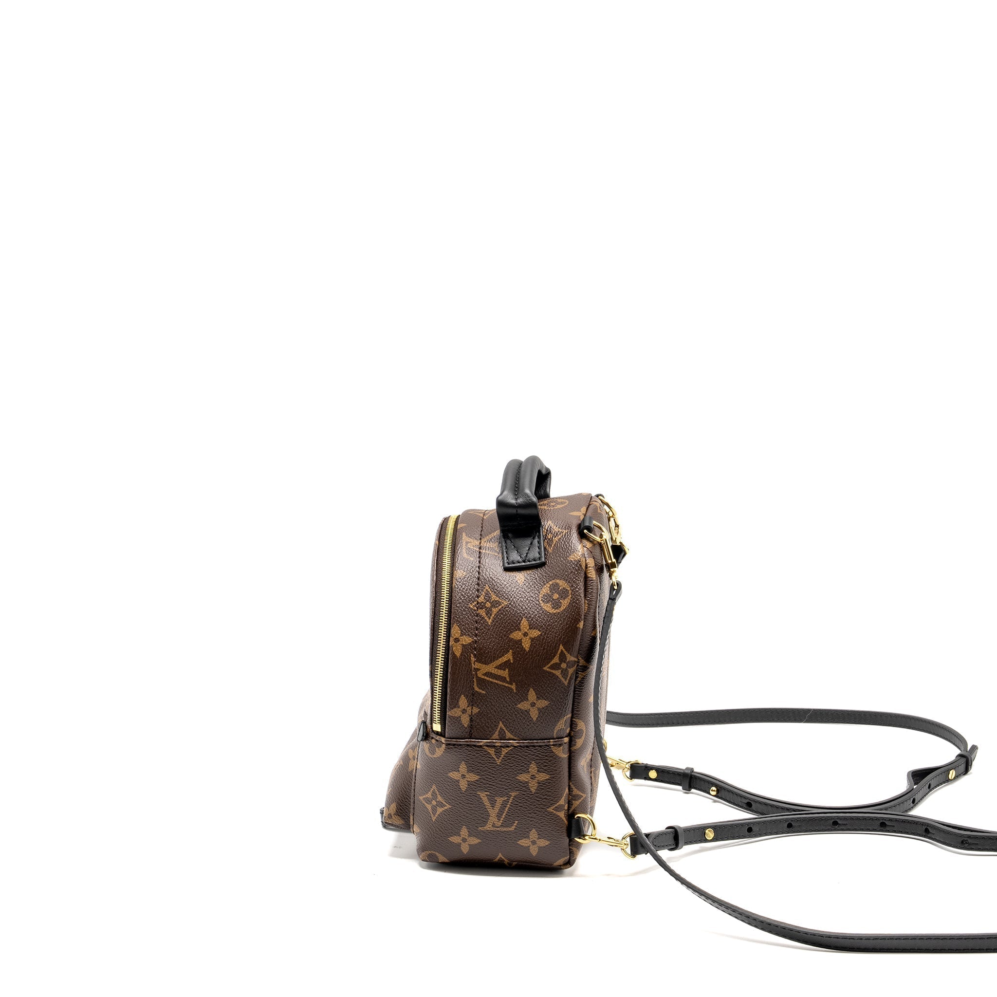 louis-vuitton-mini-palm-spring-backpack-monogram-canvas-ghw-10