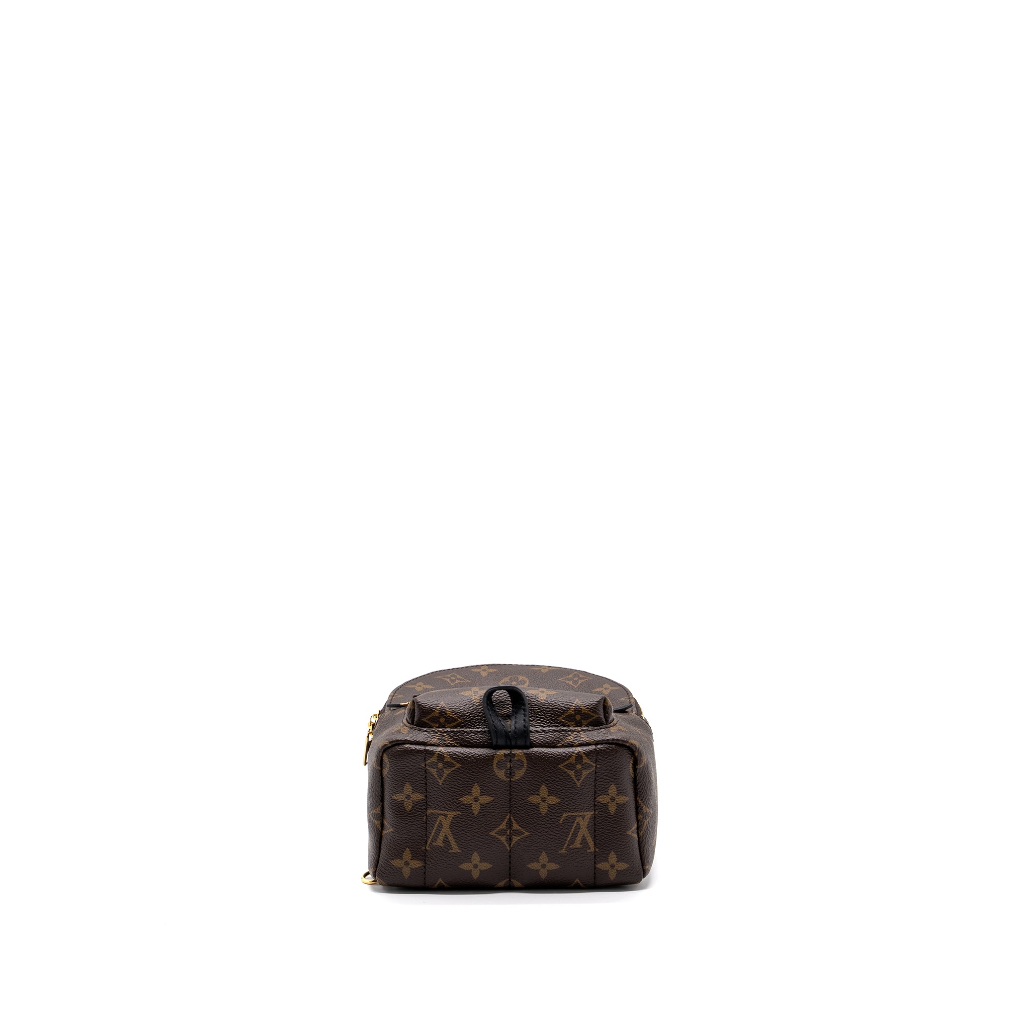 louis-vuitton-palm-spring-mini-backpack-monogram-canvas-ghw-8